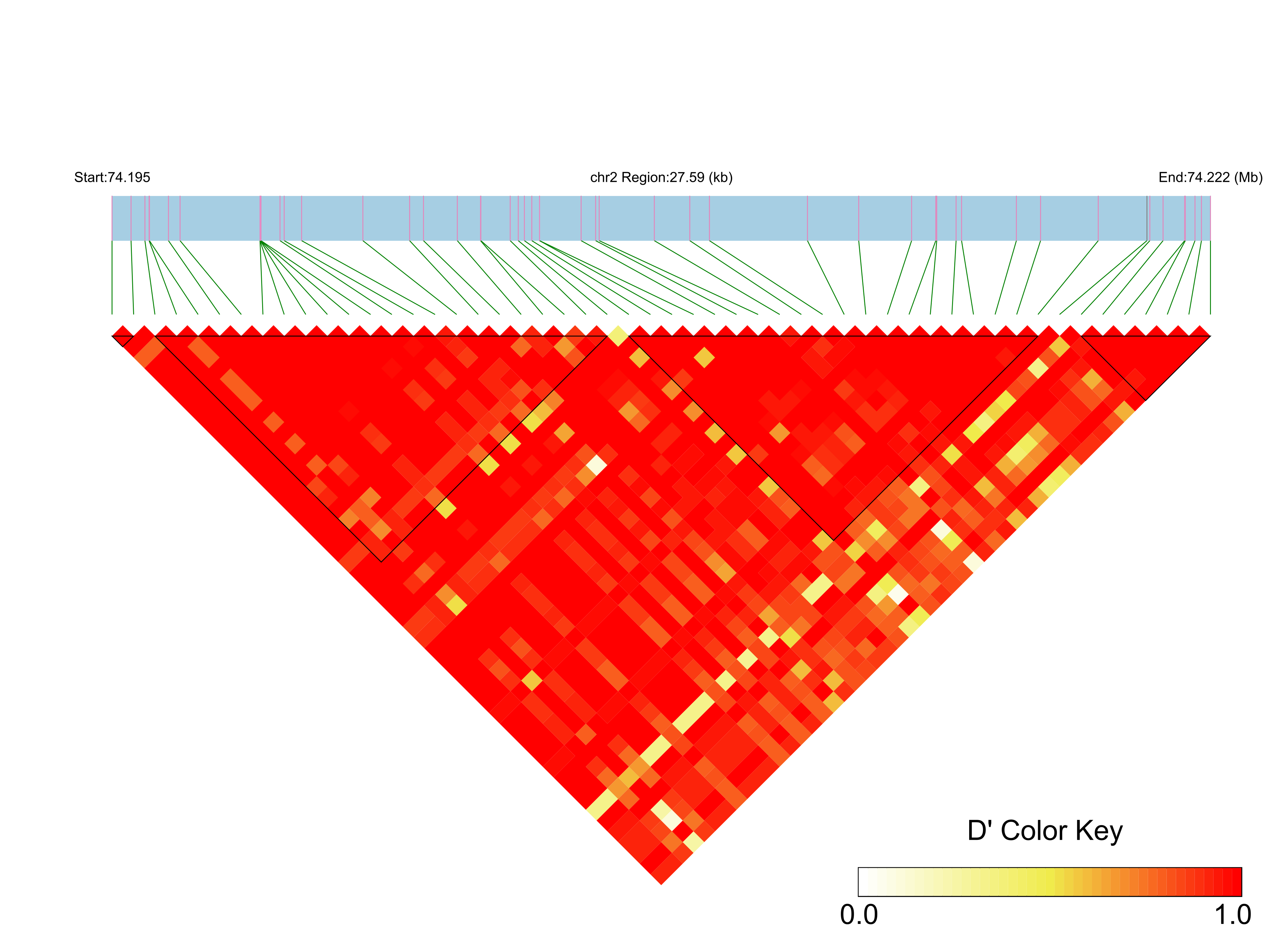 LD