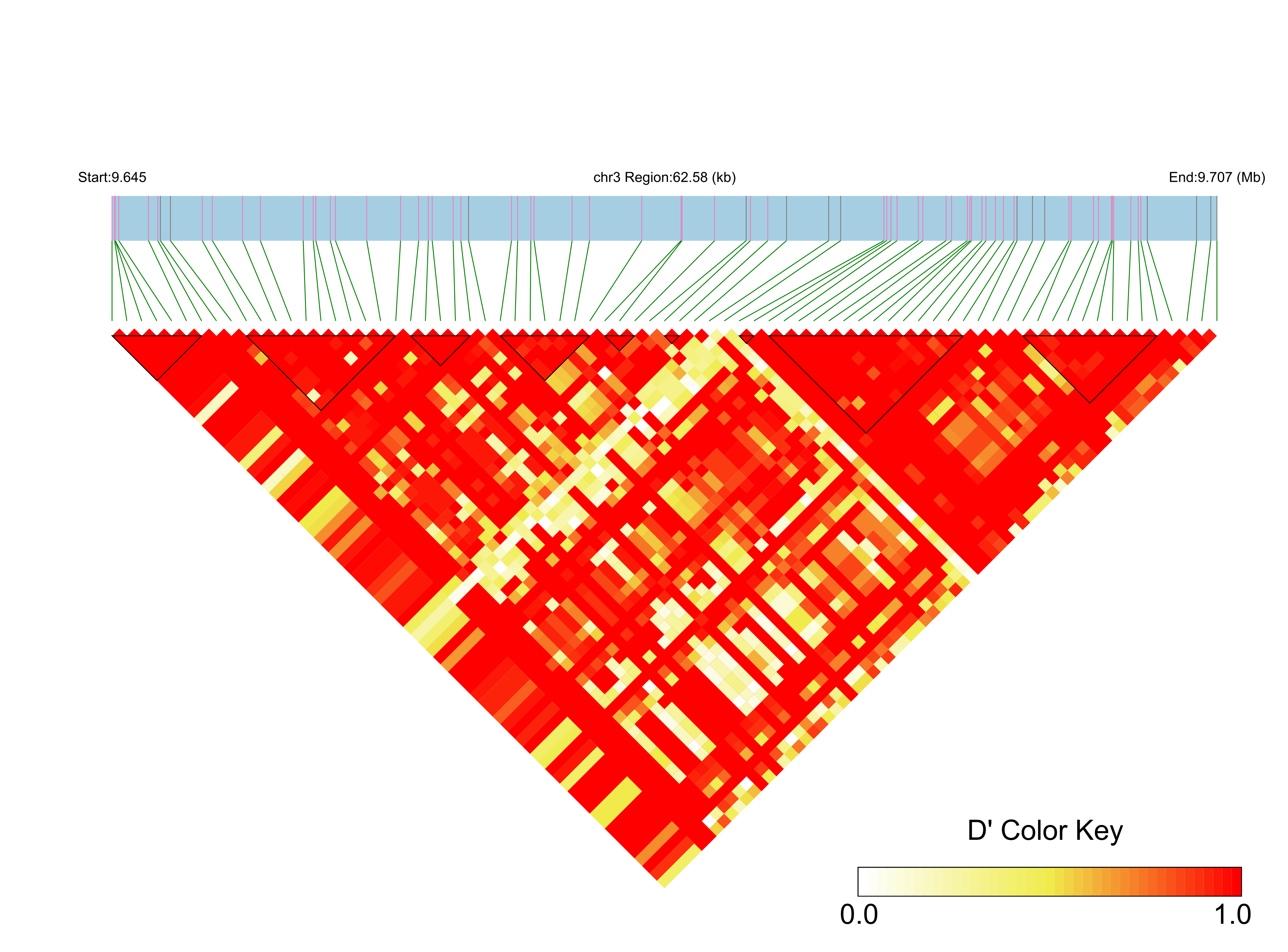 LD