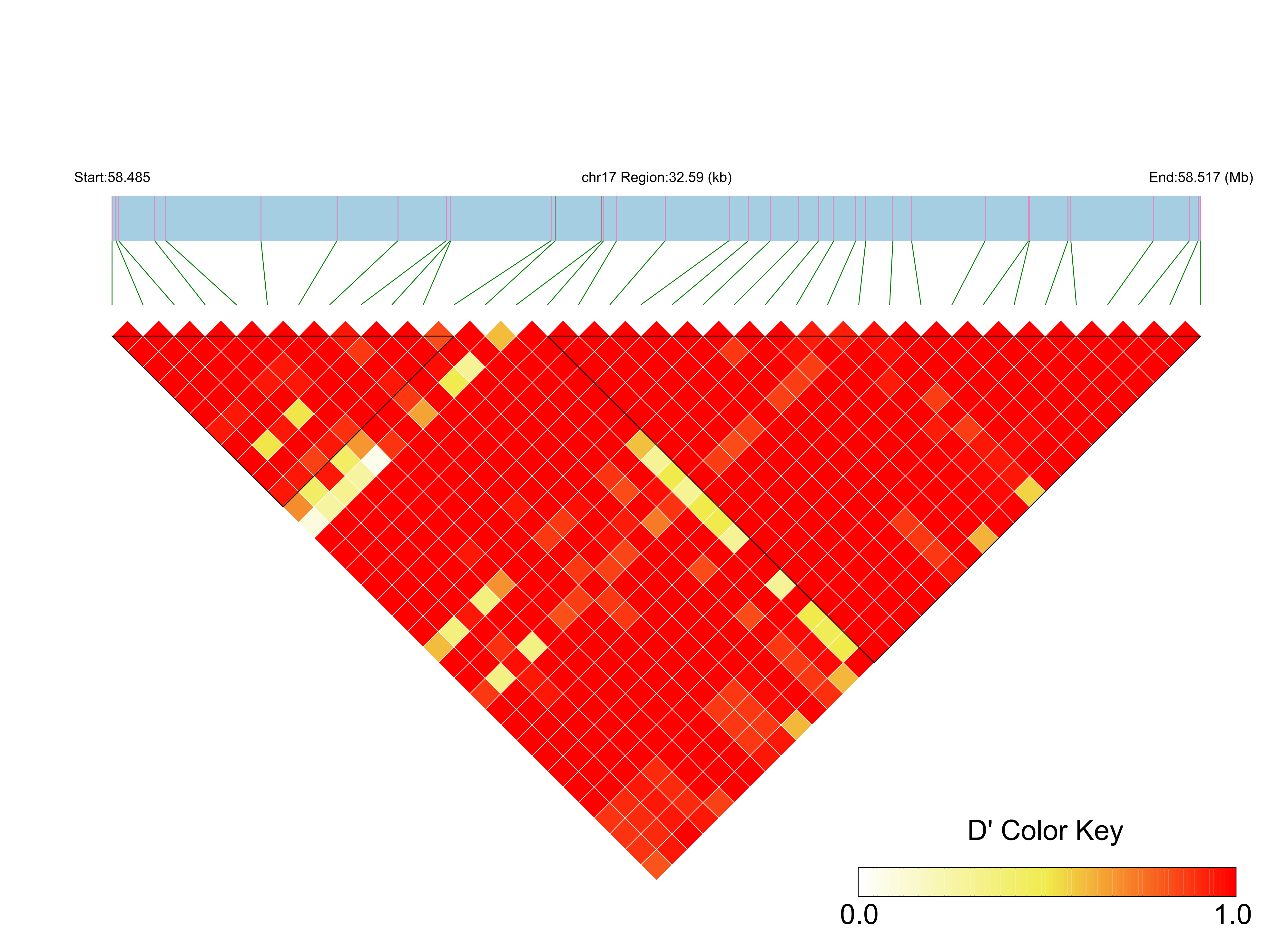 LD