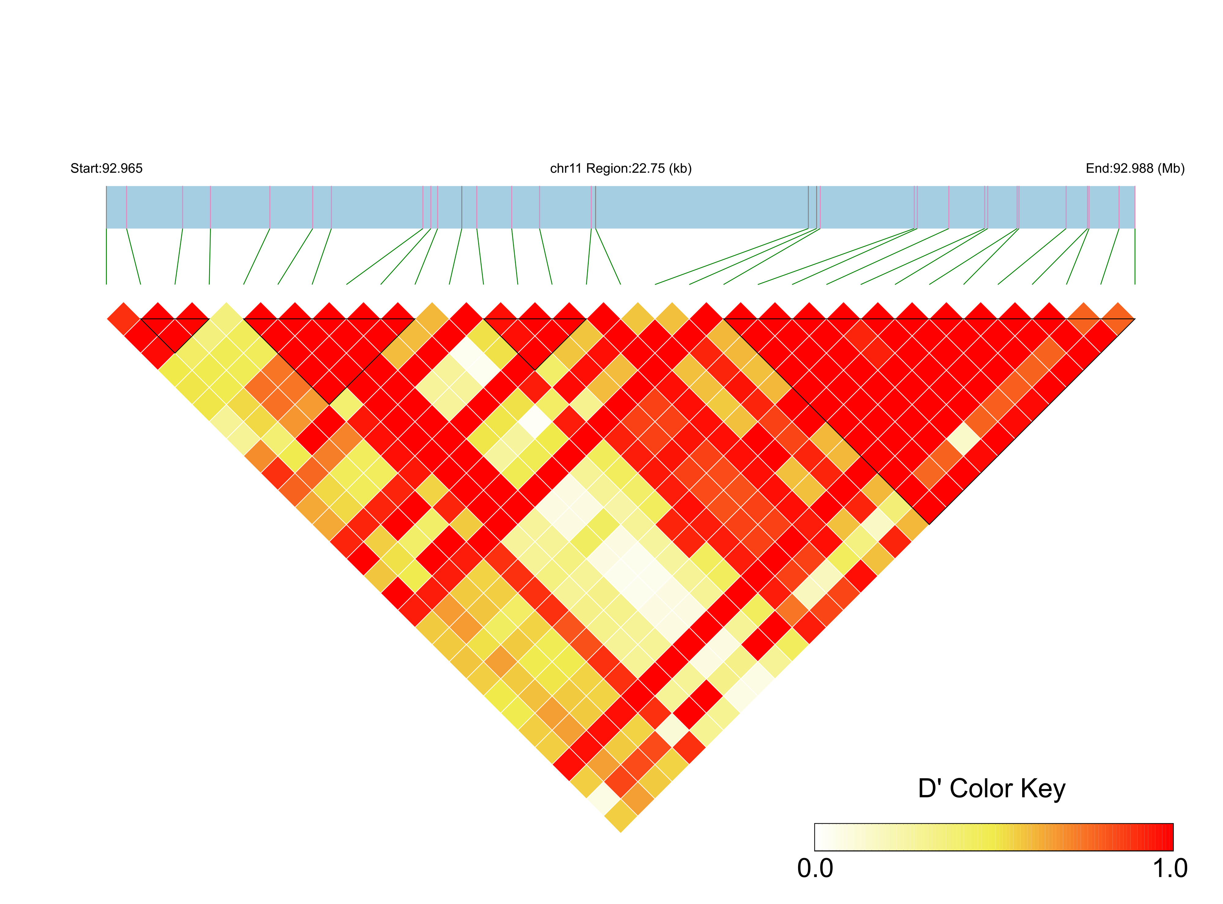 LD