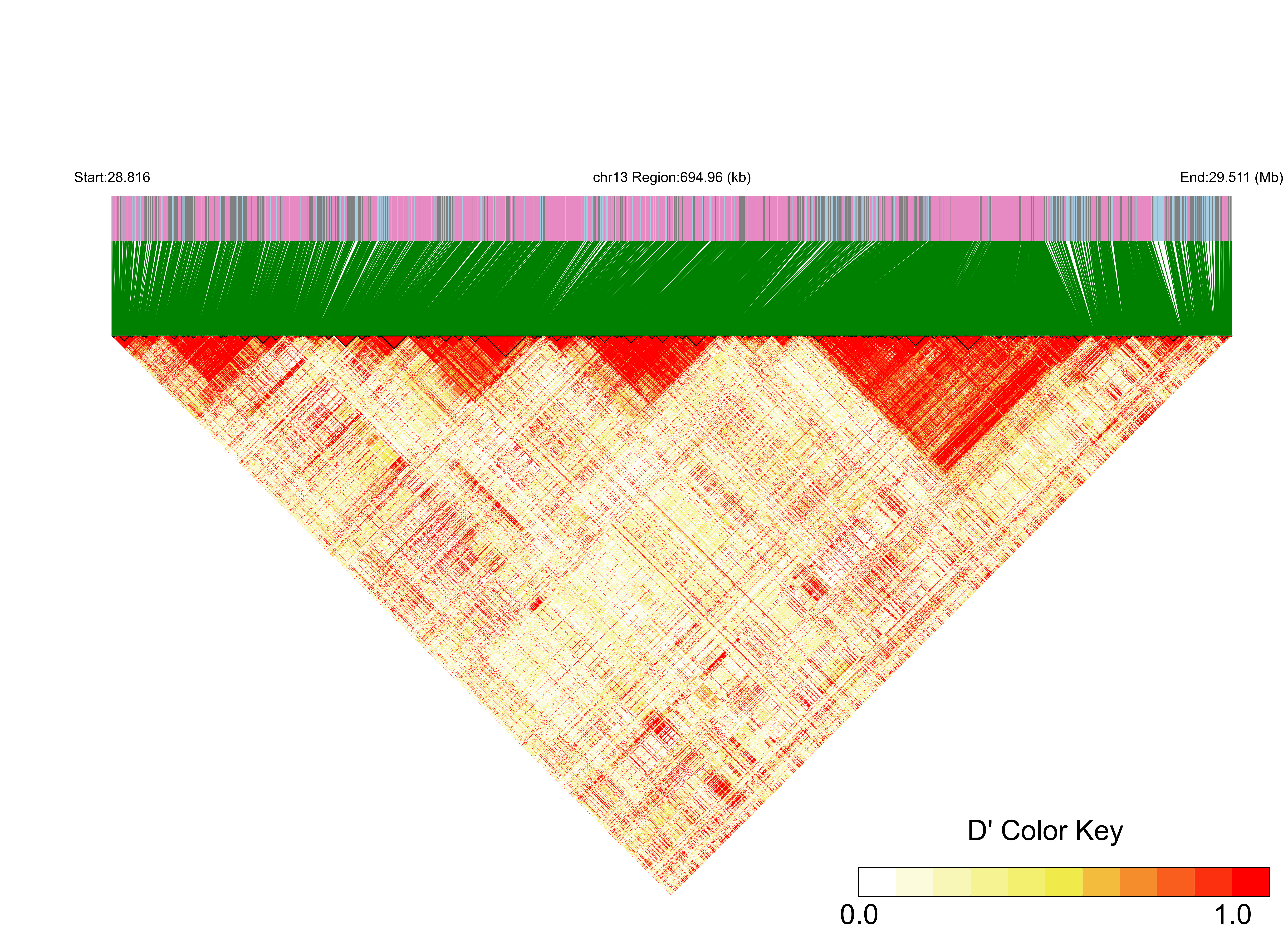 LD