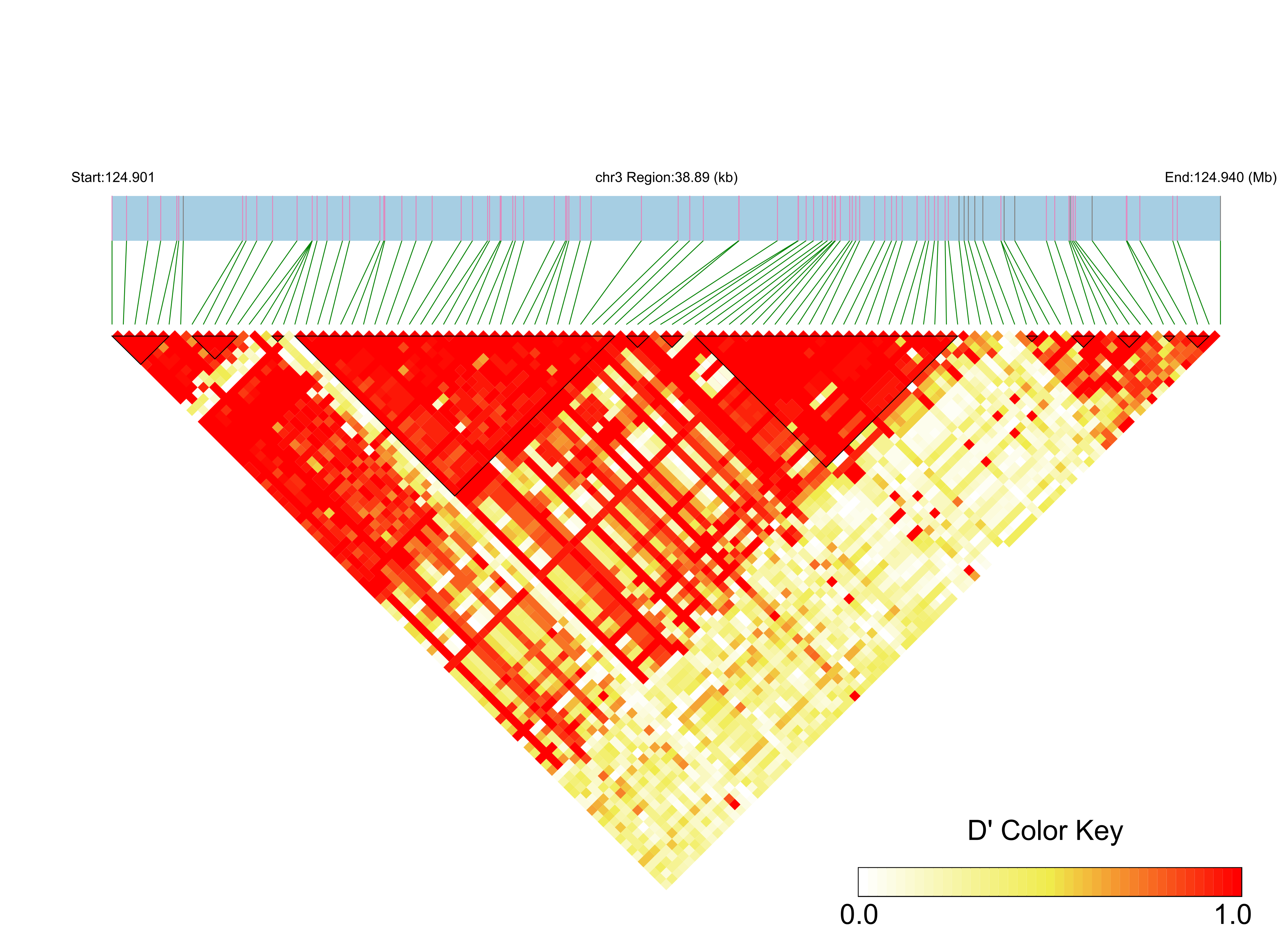 LD
