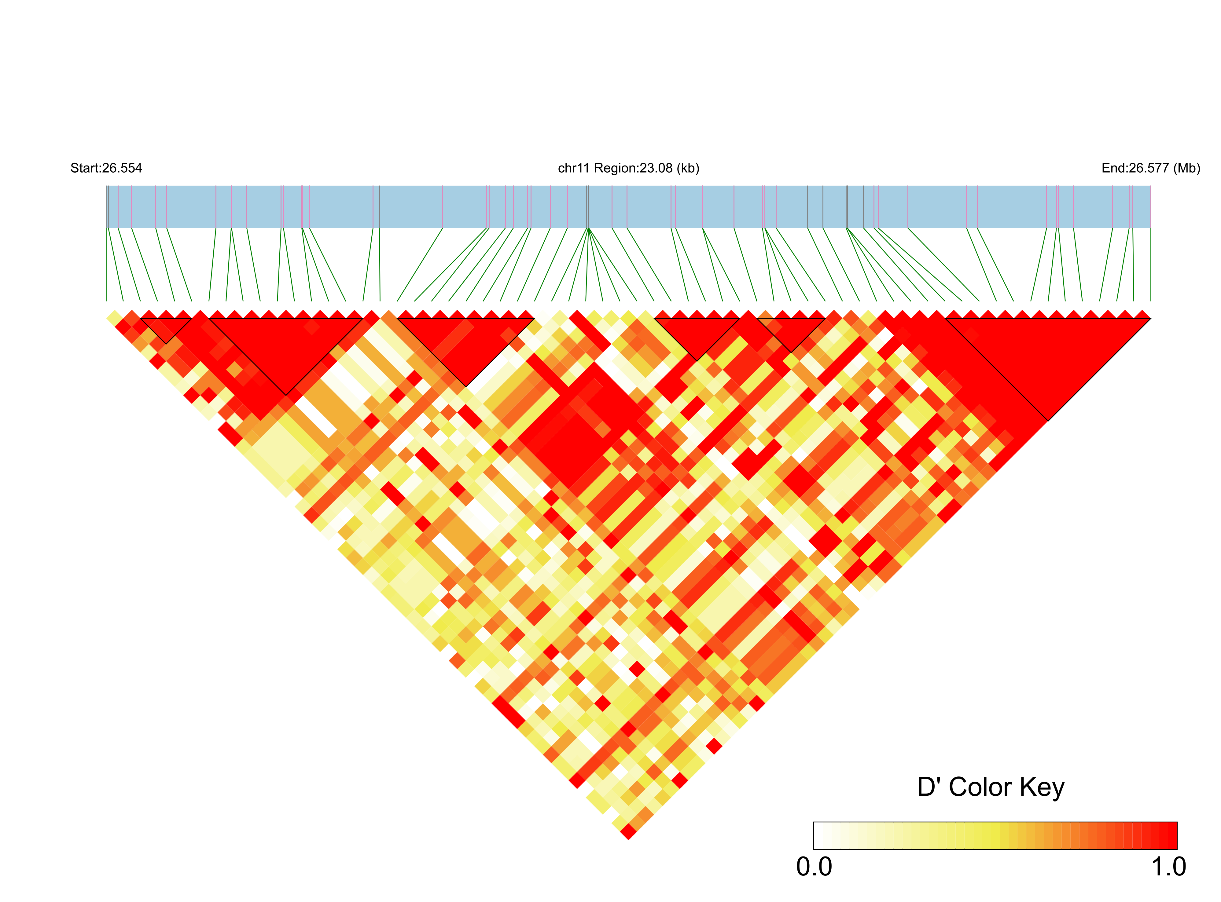 LD