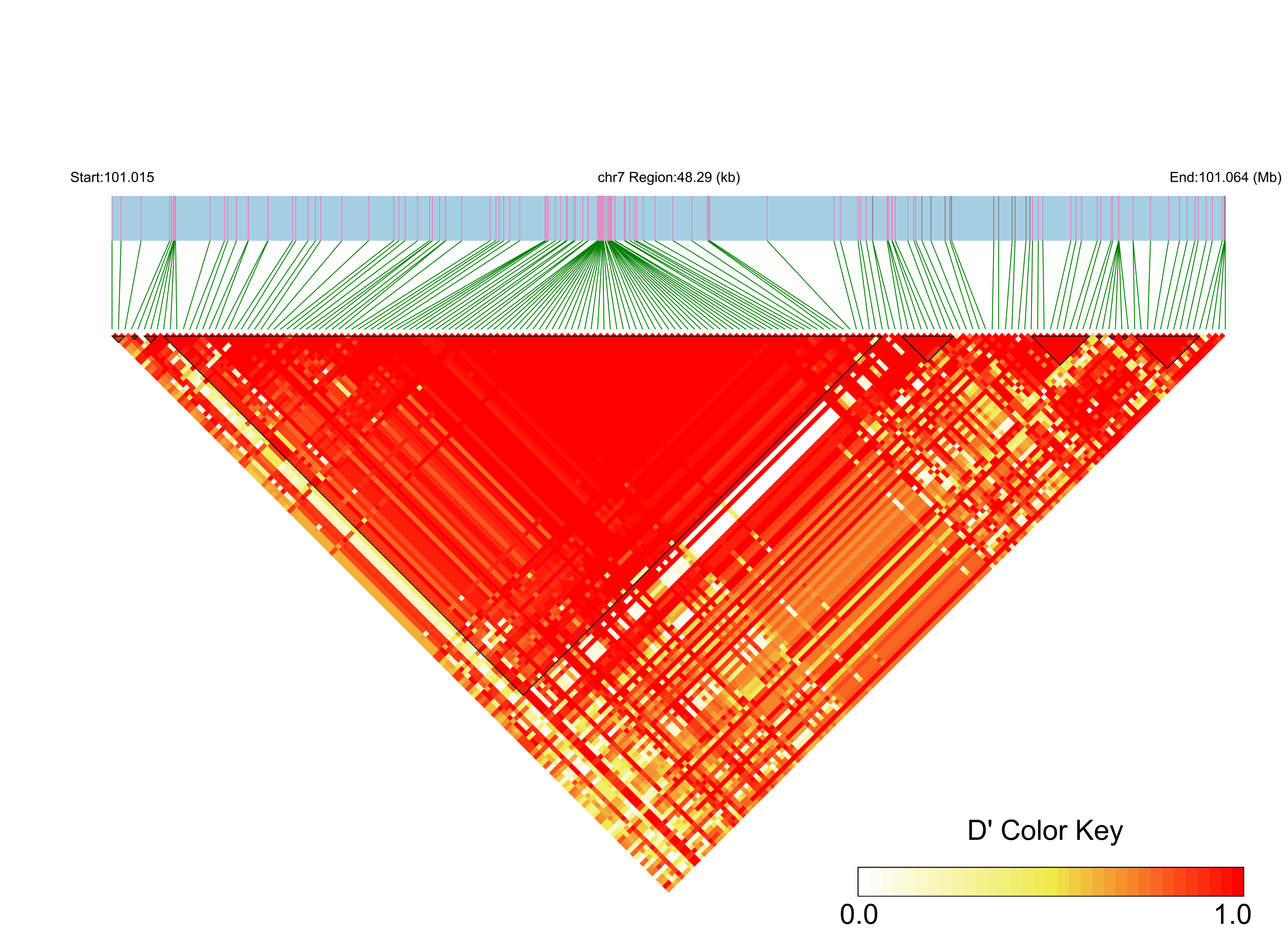 LD