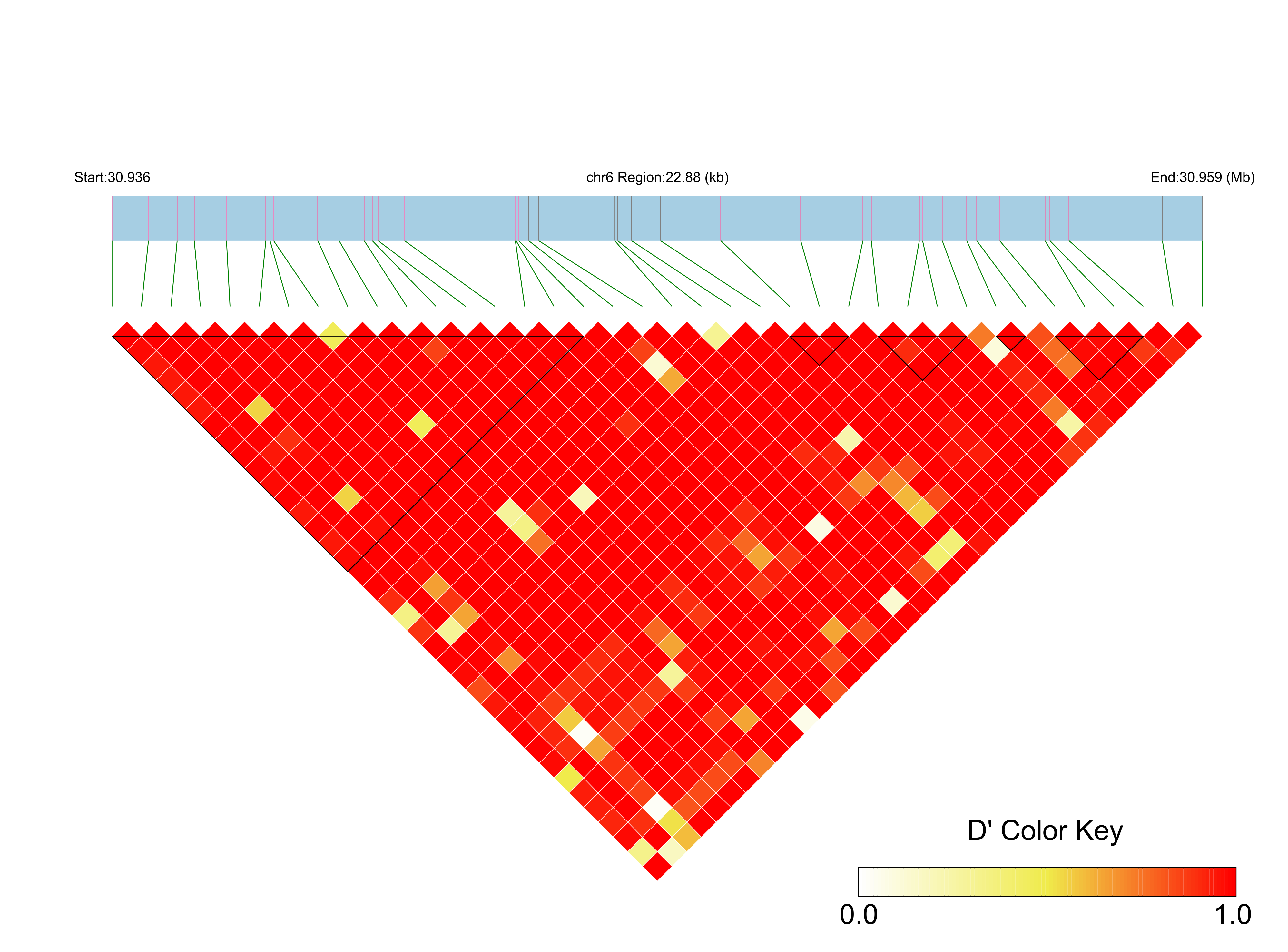 LD