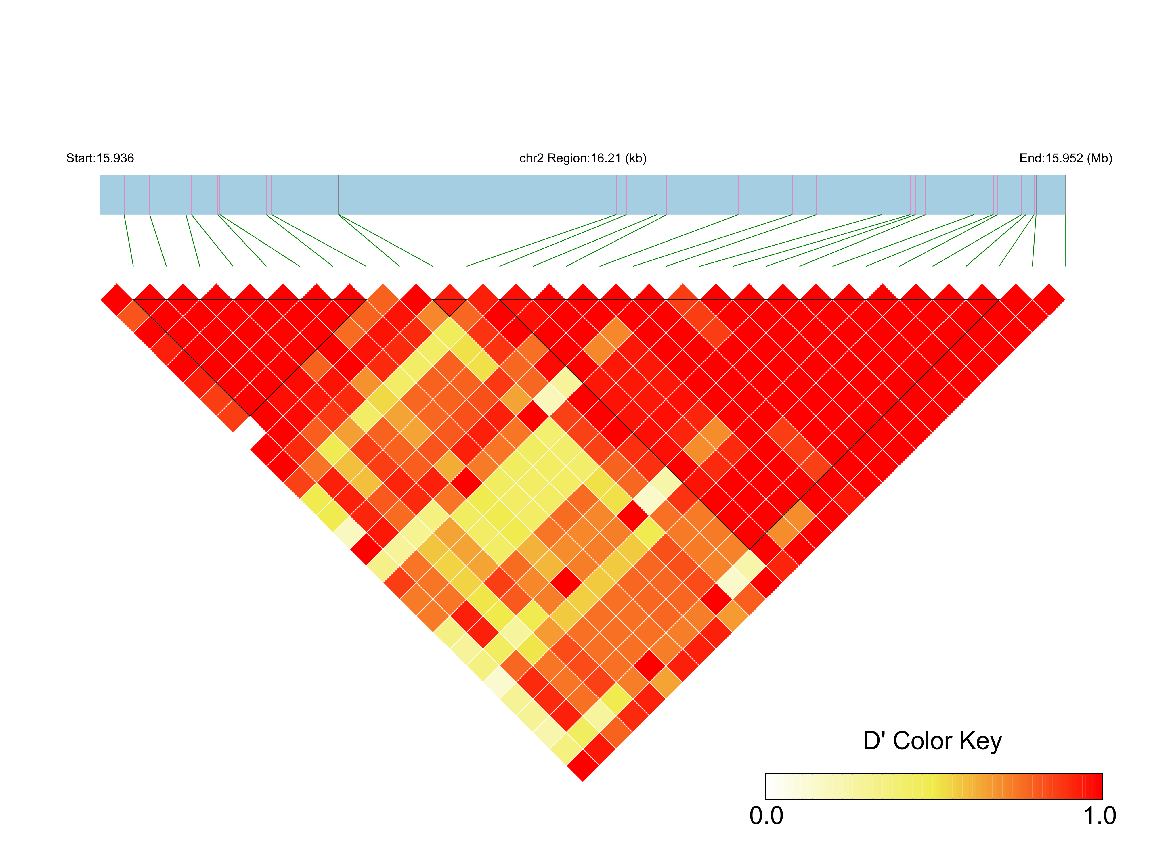 LD