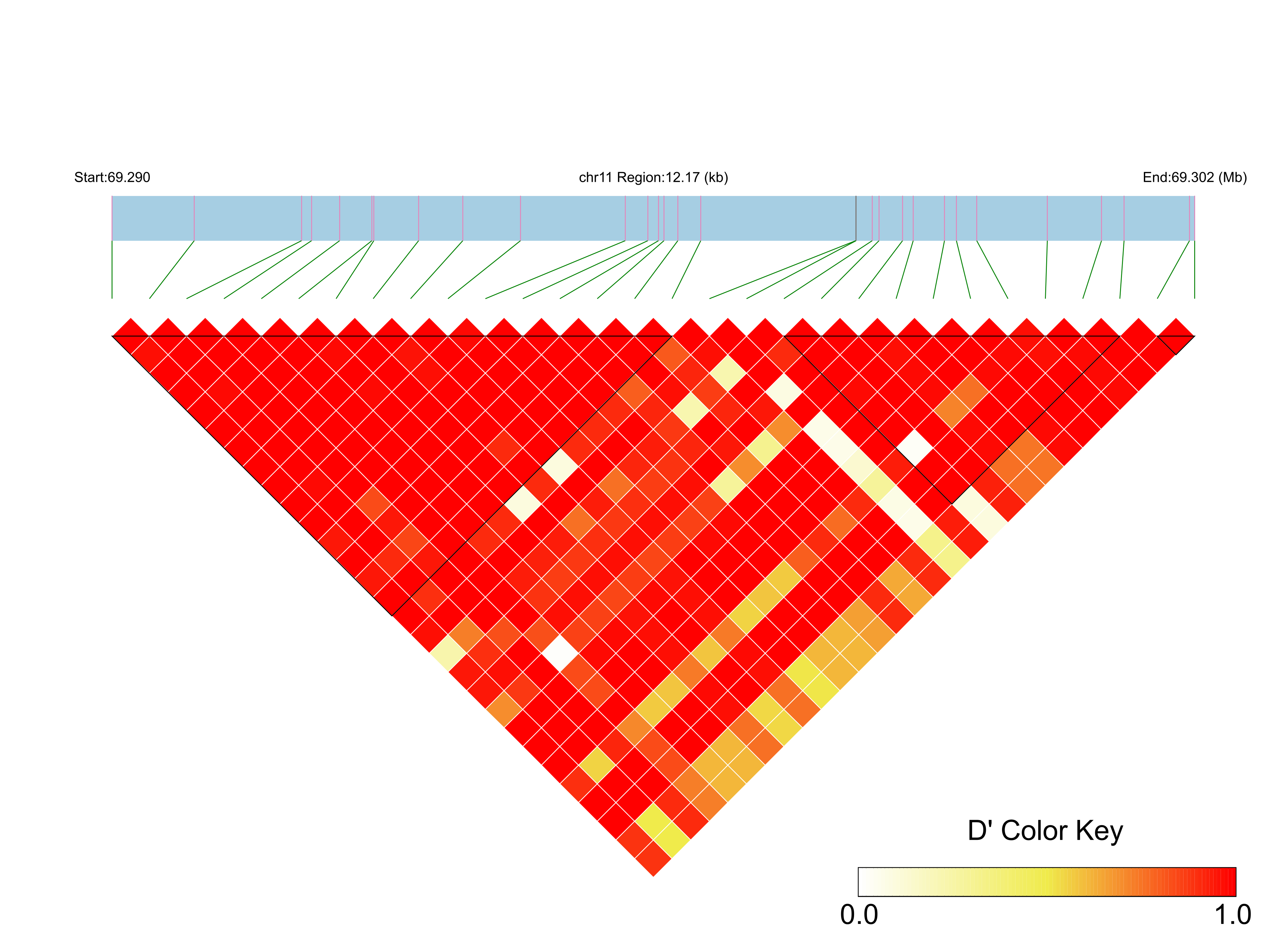 LD