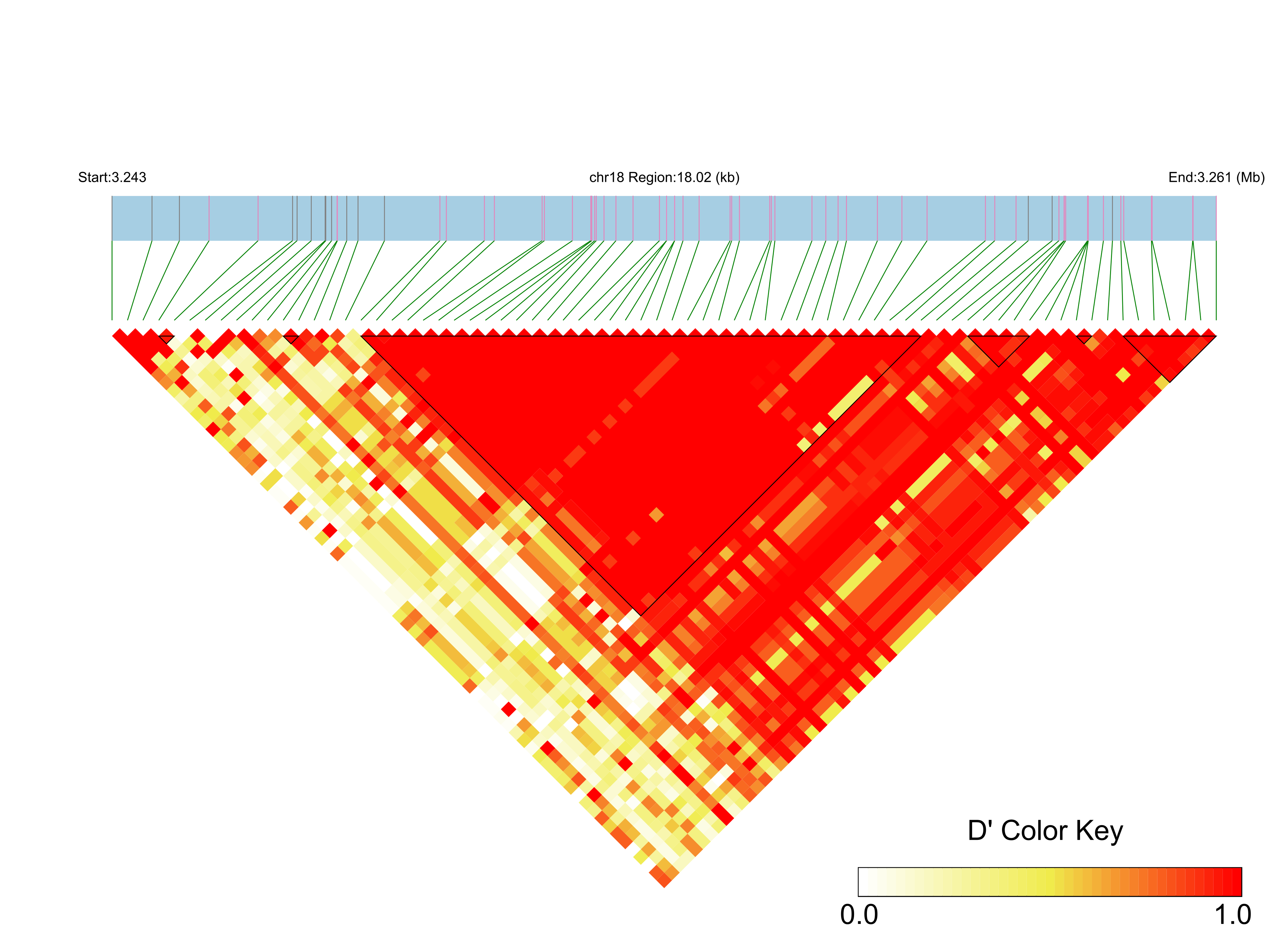 LD