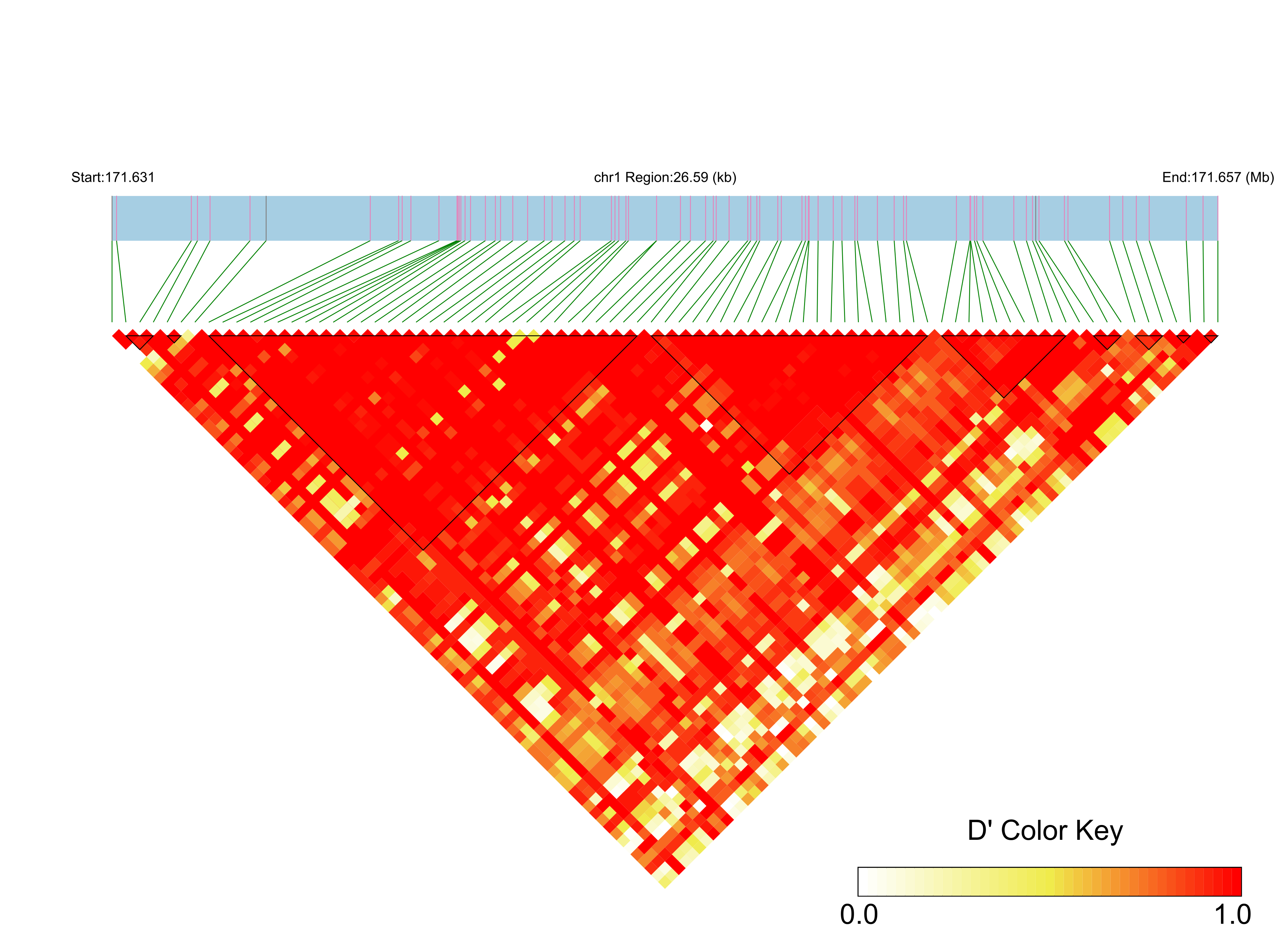 LD