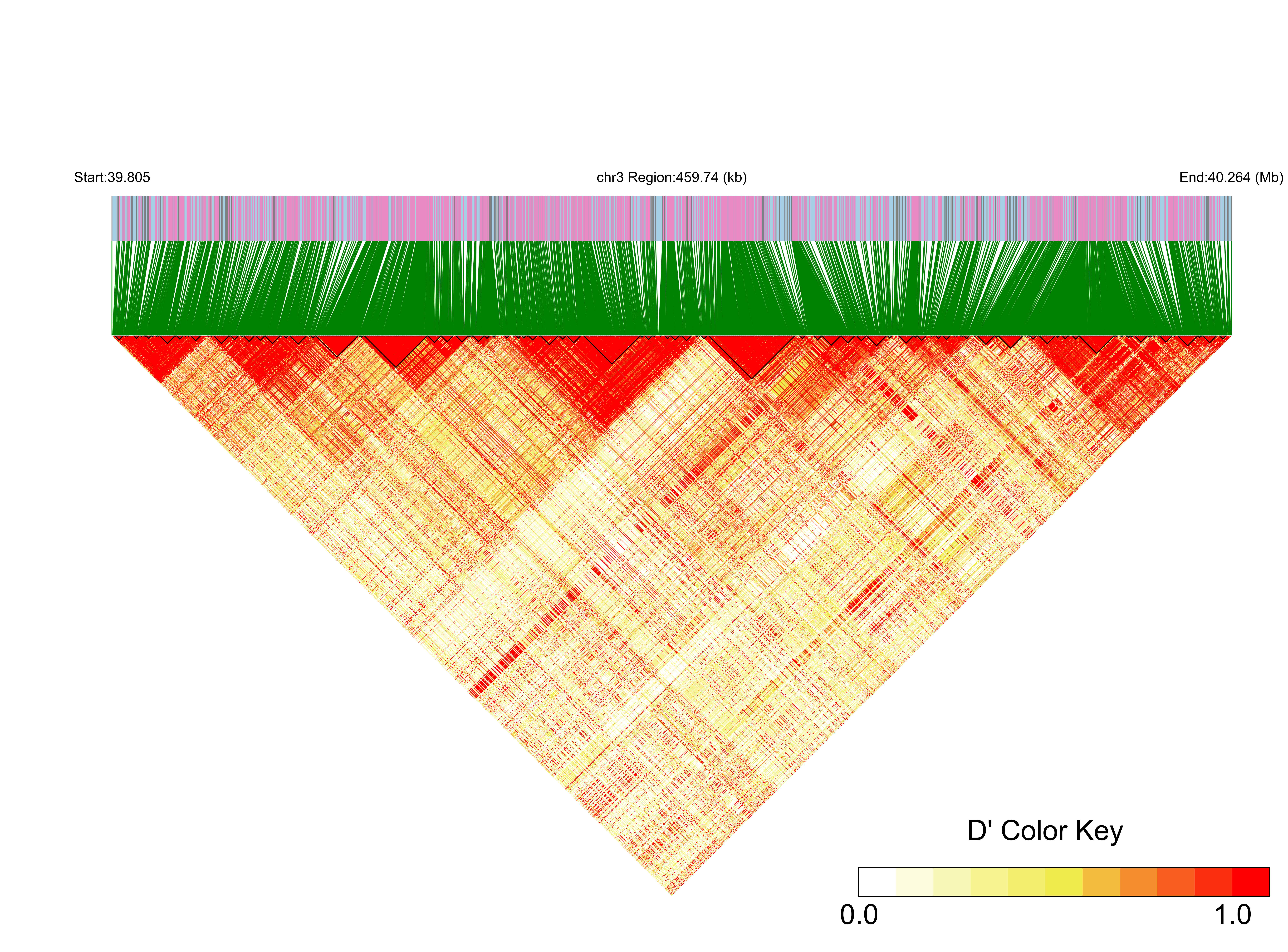 LD