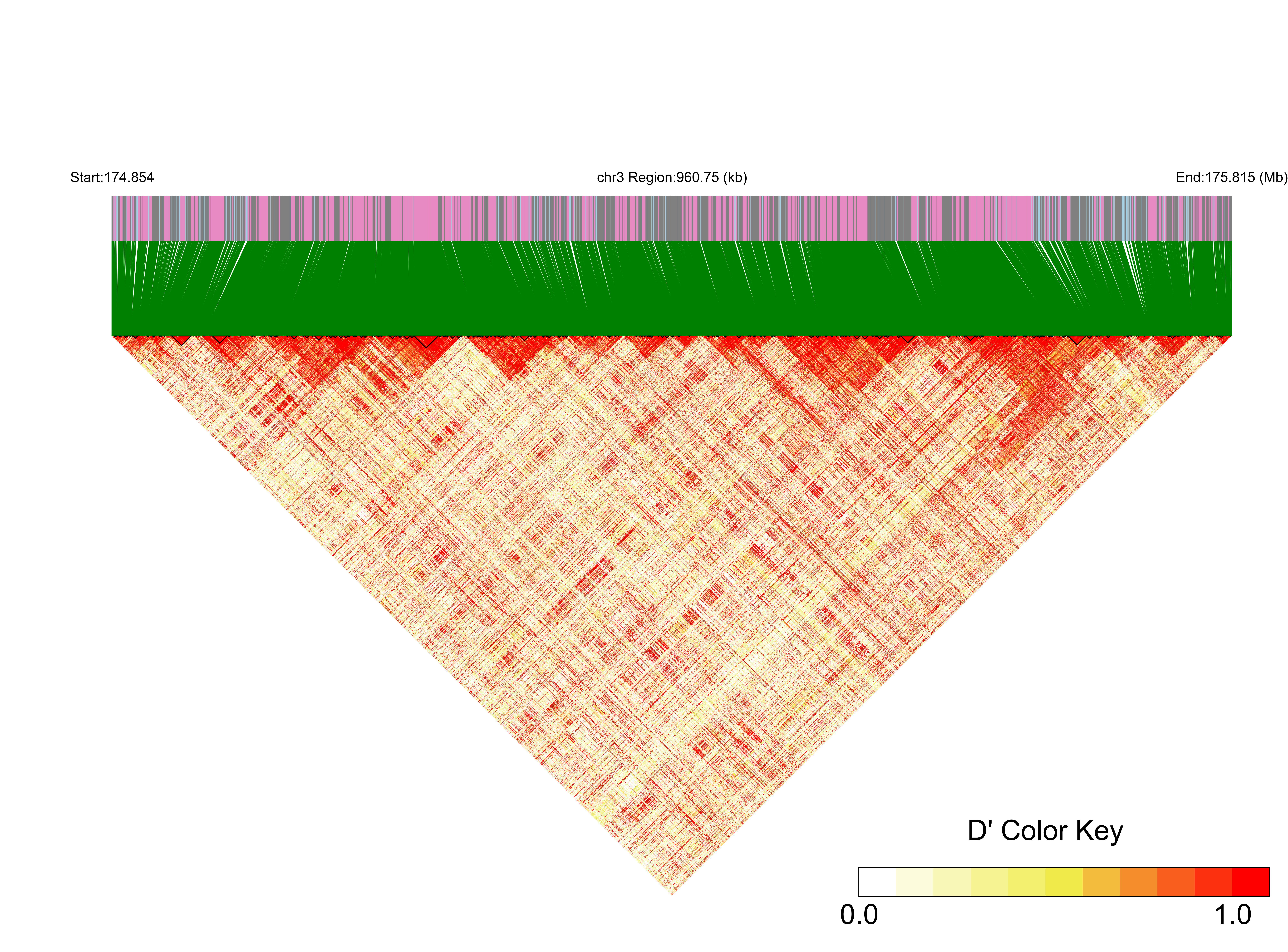 LD