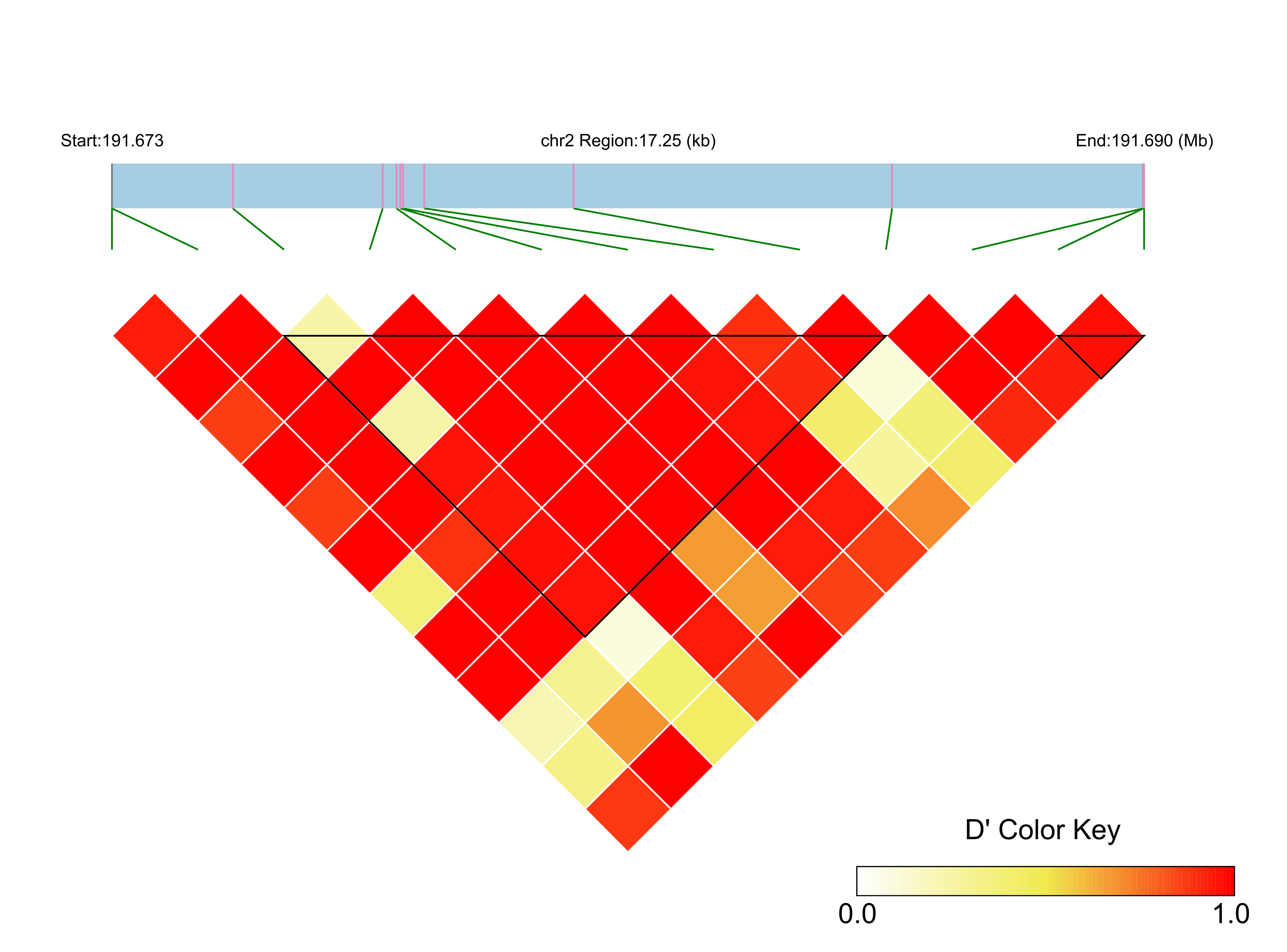 LD