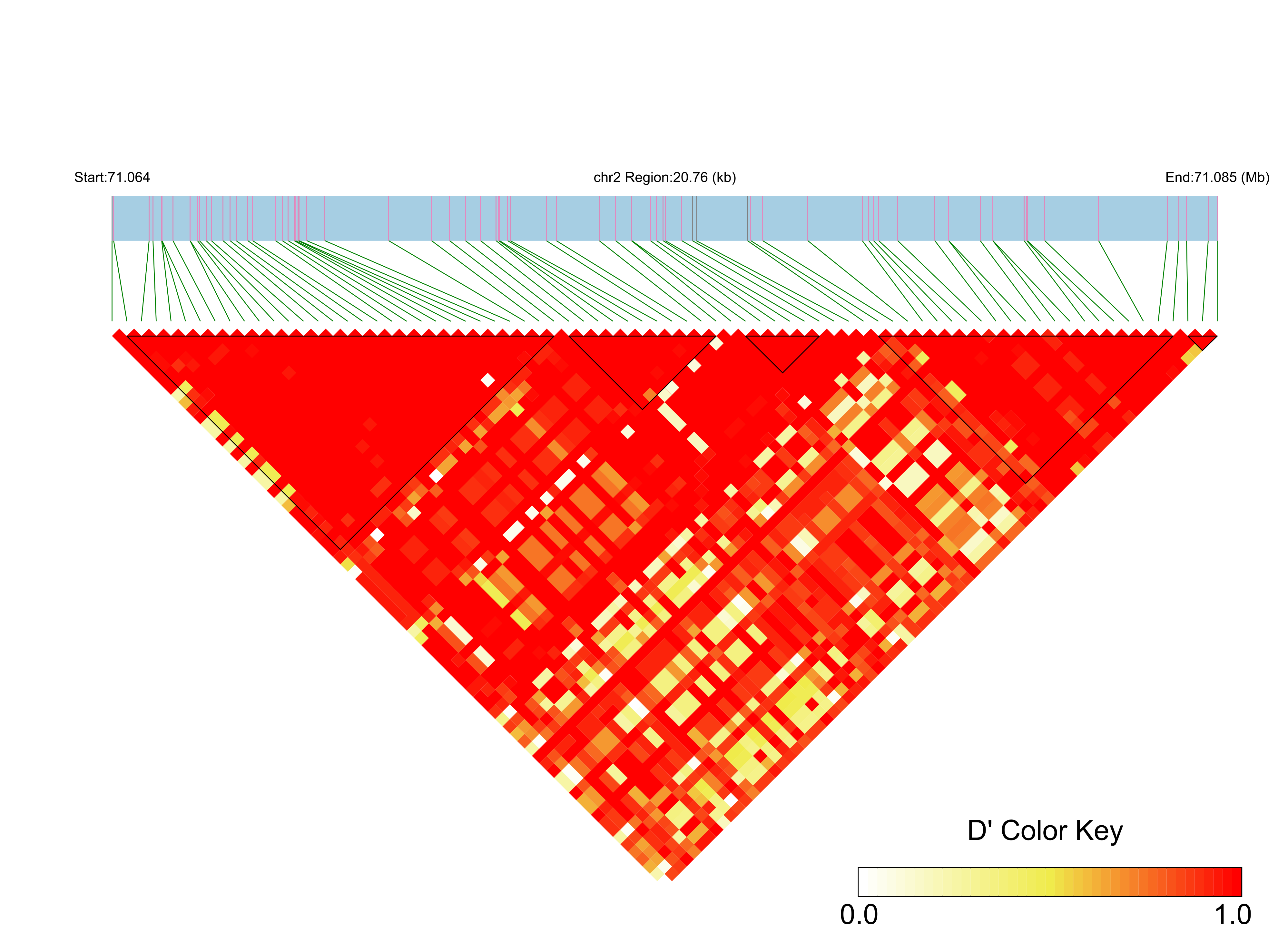LD