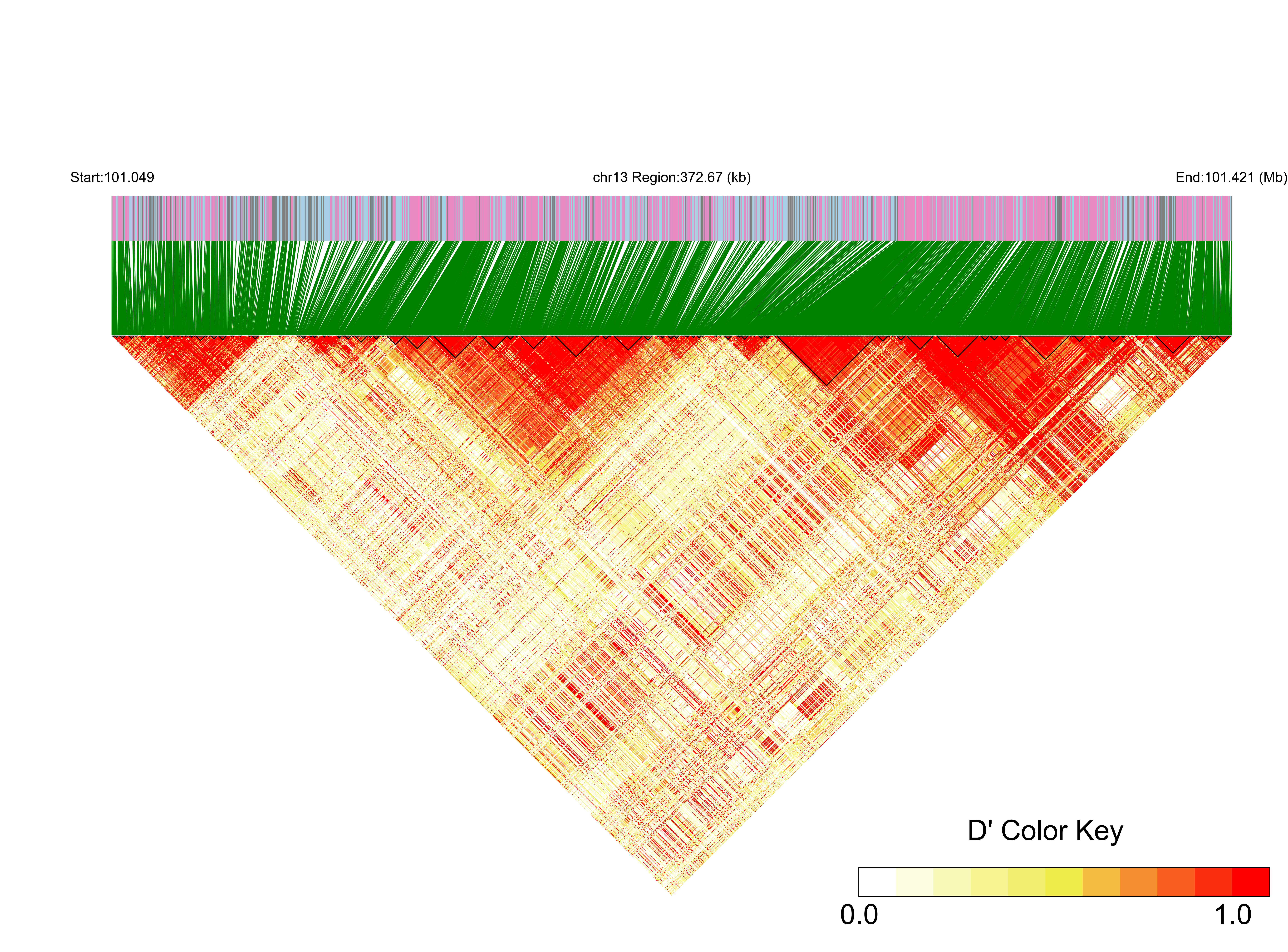 LD