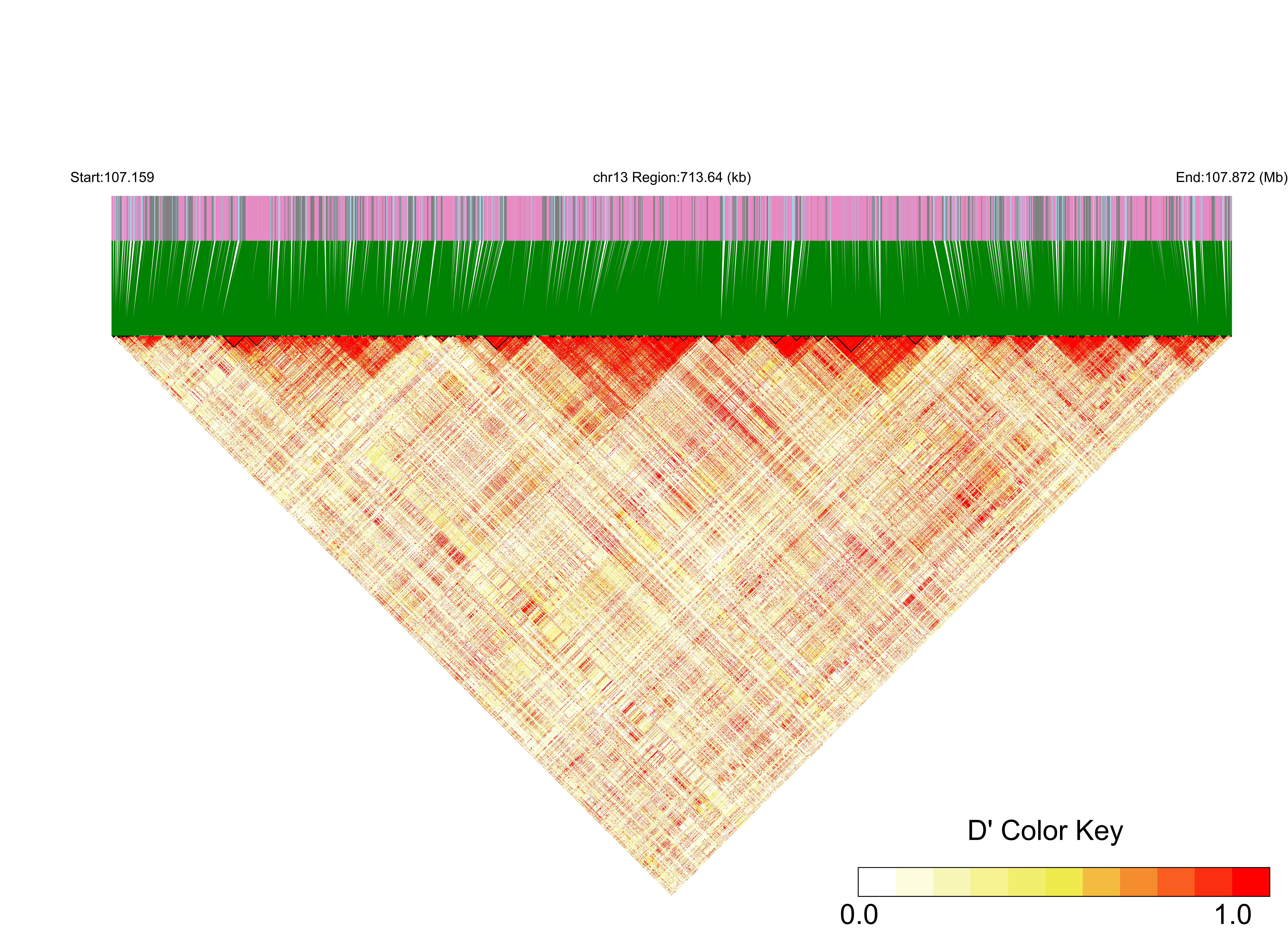 LD
