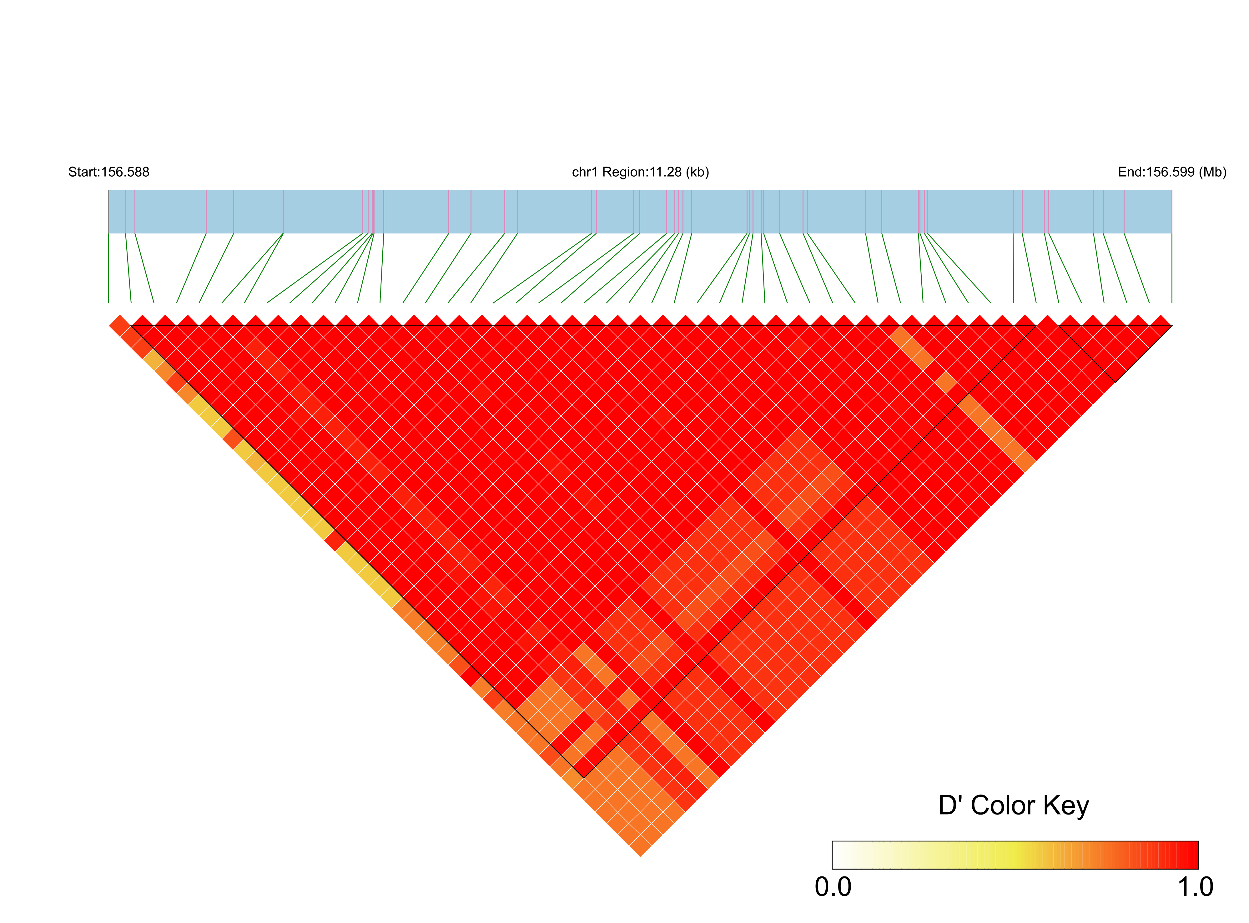 LD
