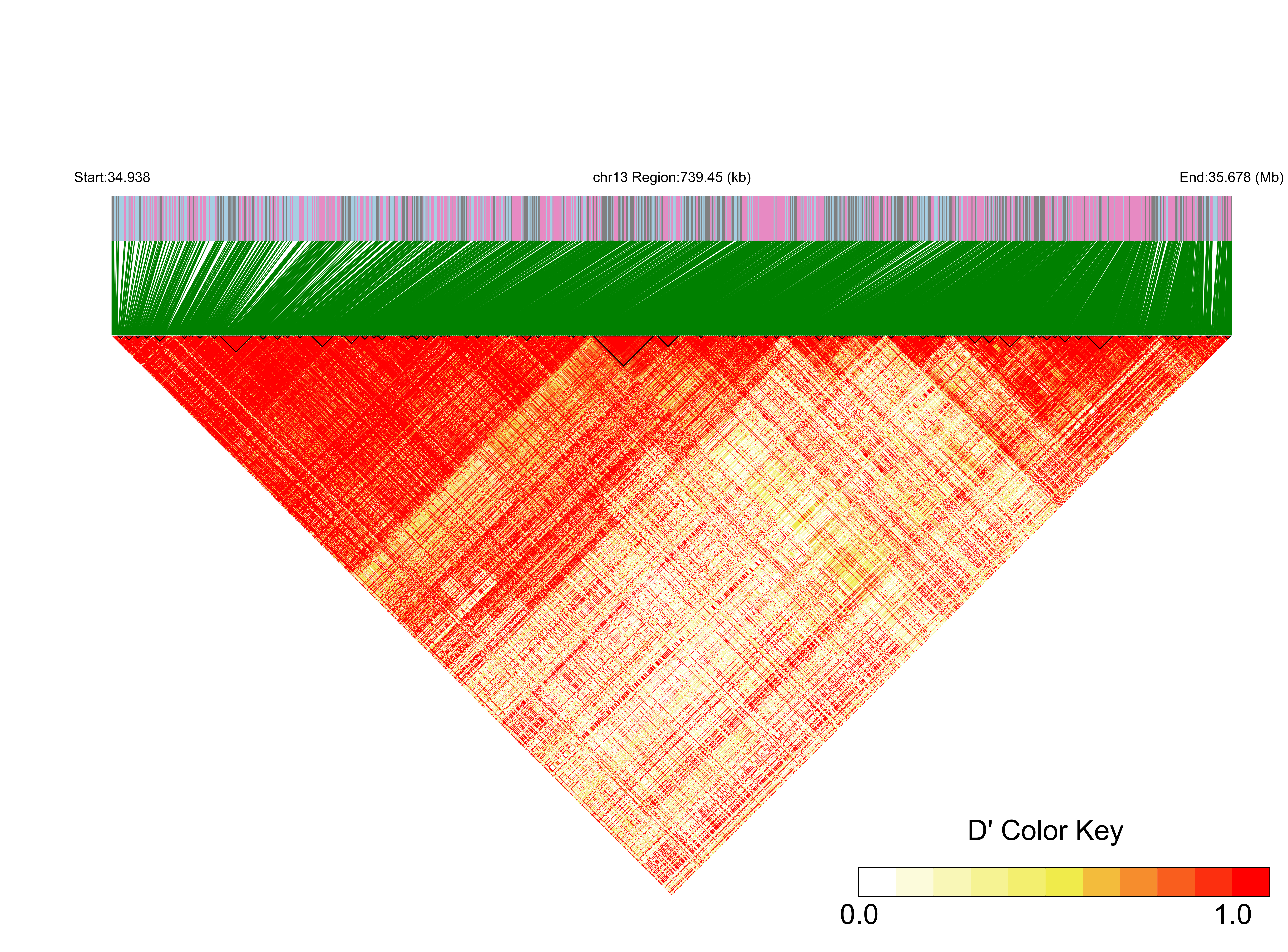 LD