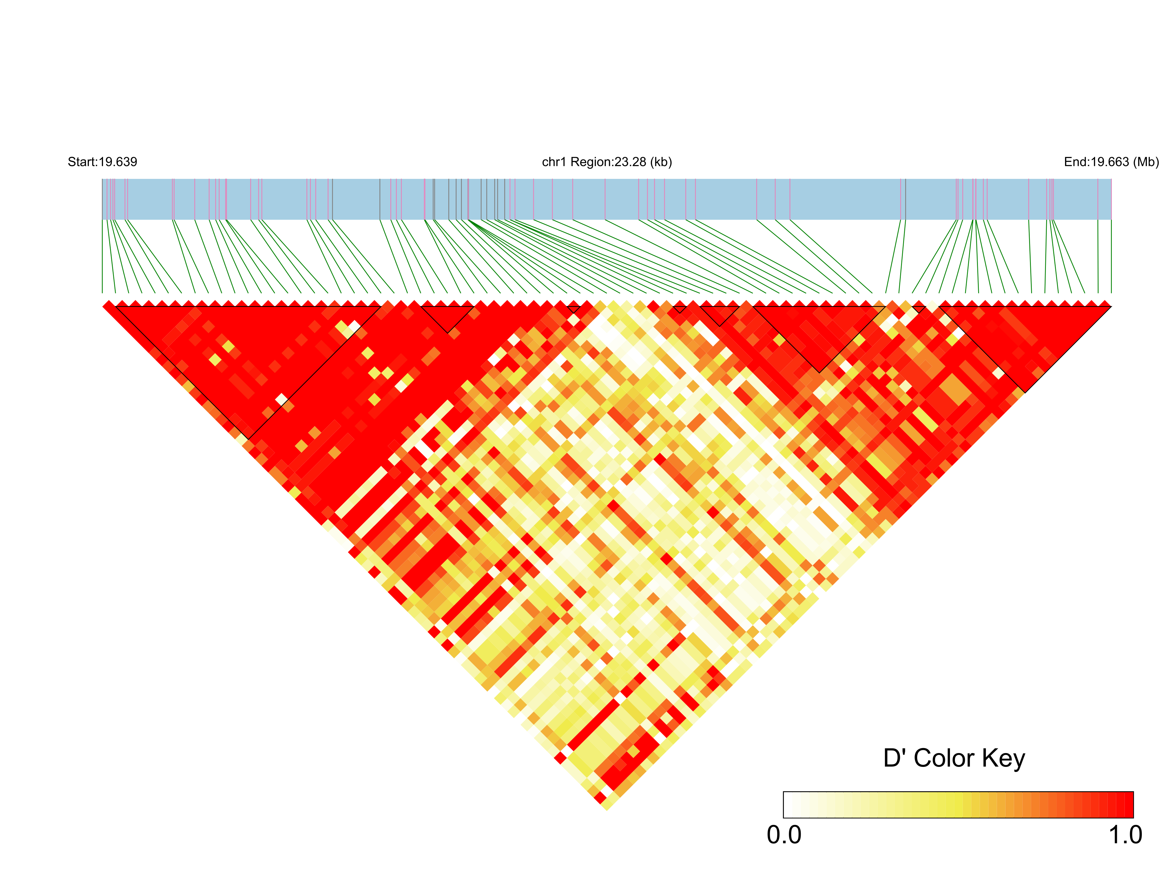 LD