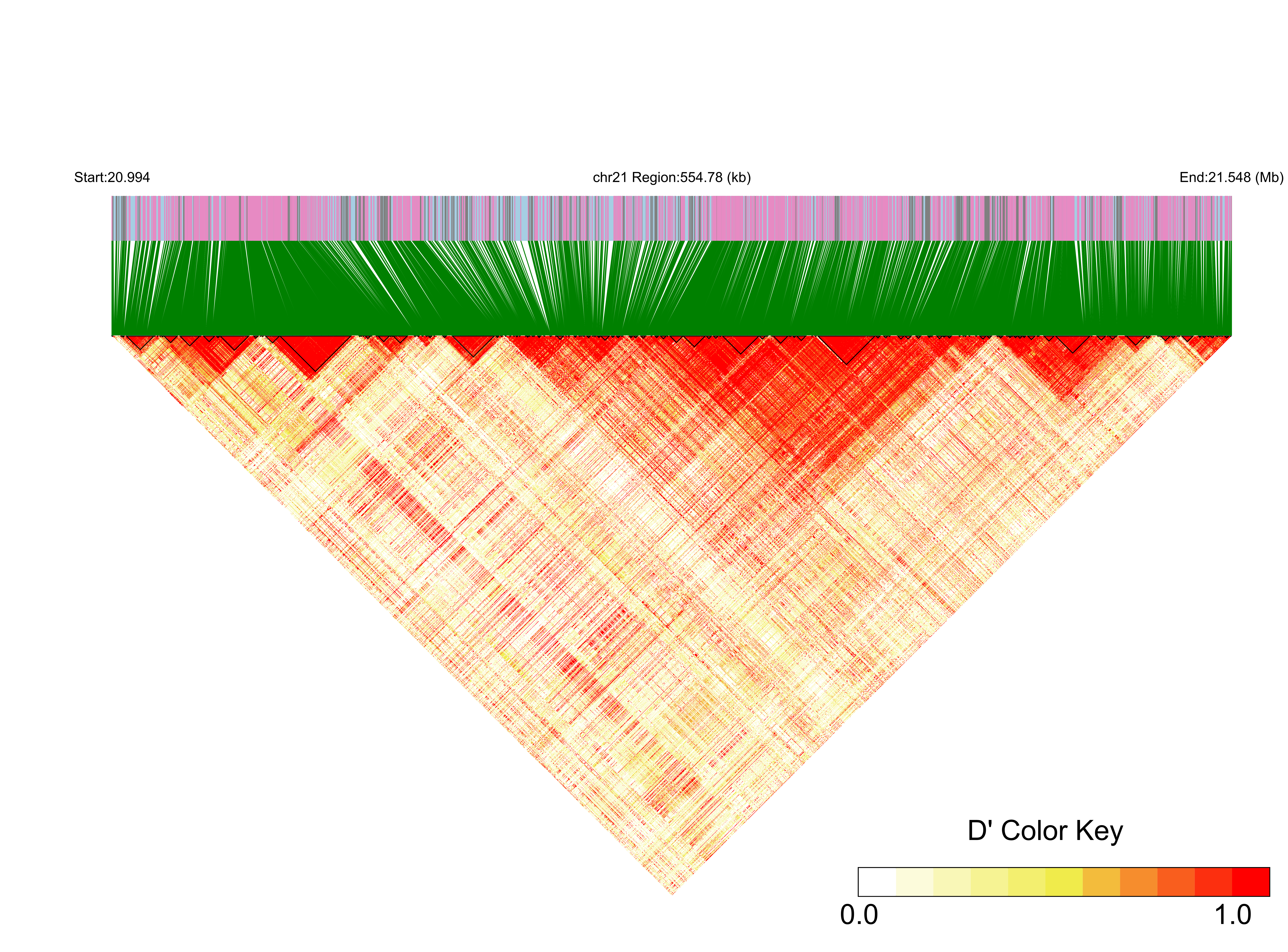 LD