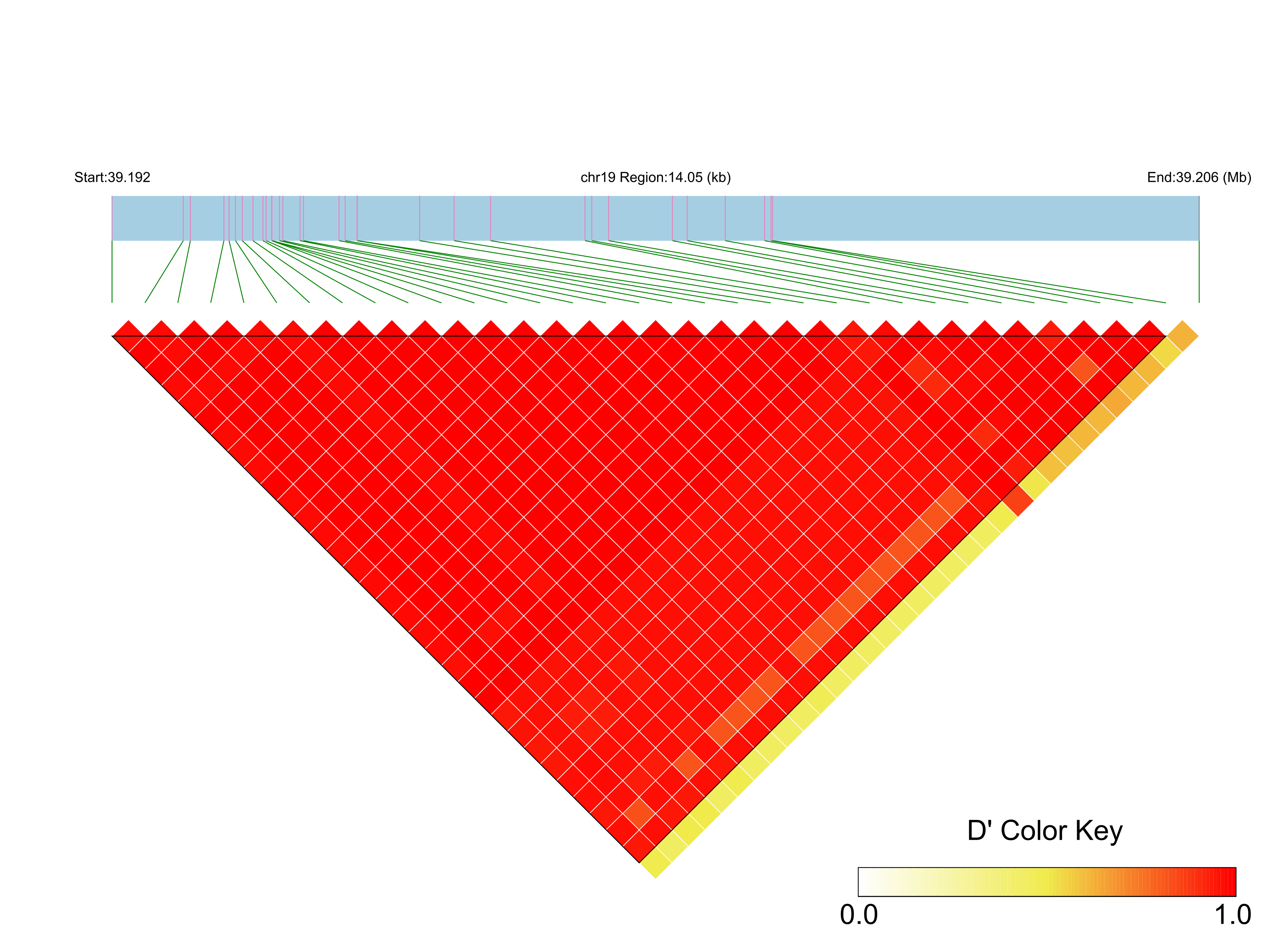 LD