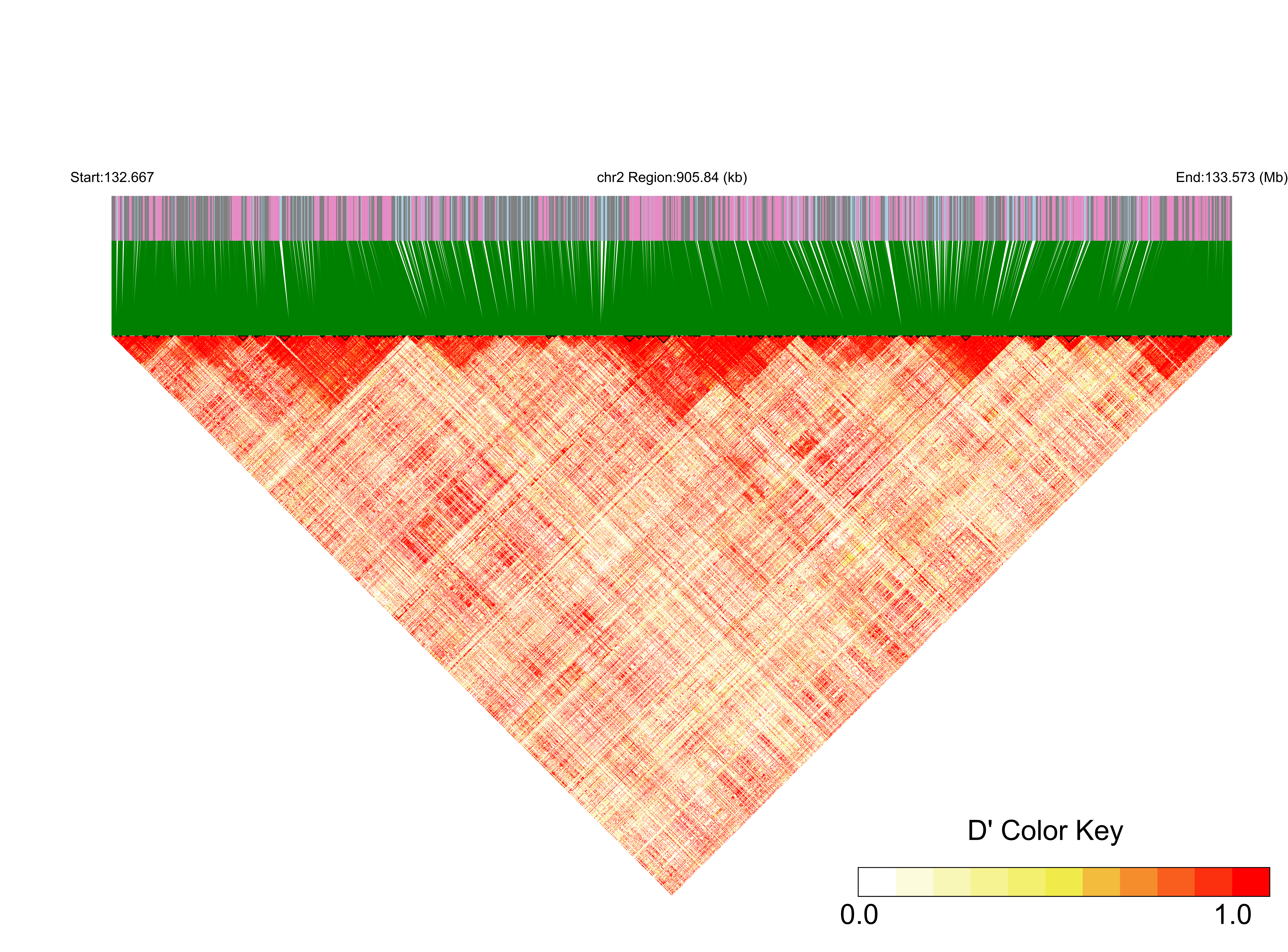 LD