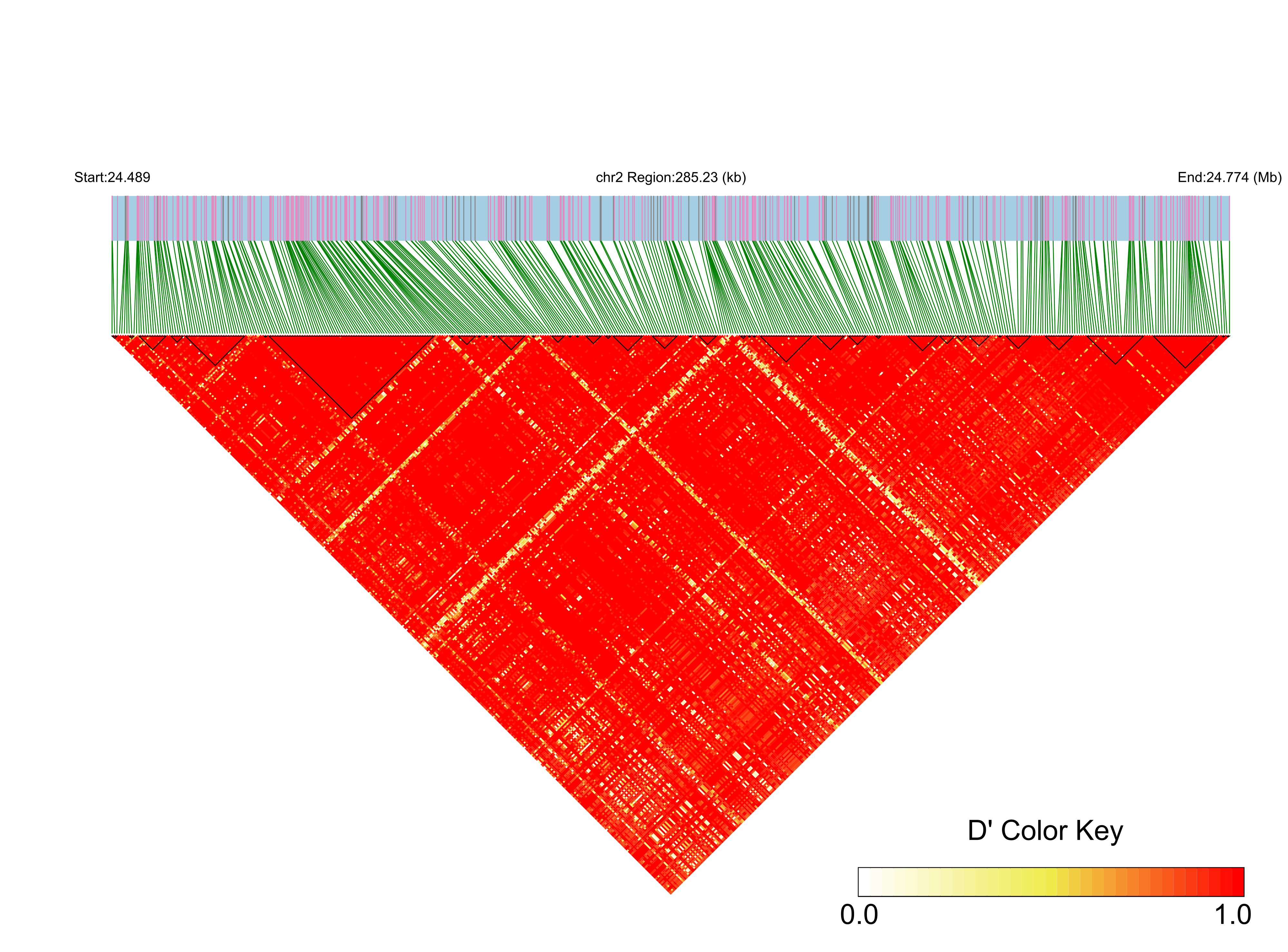 LD