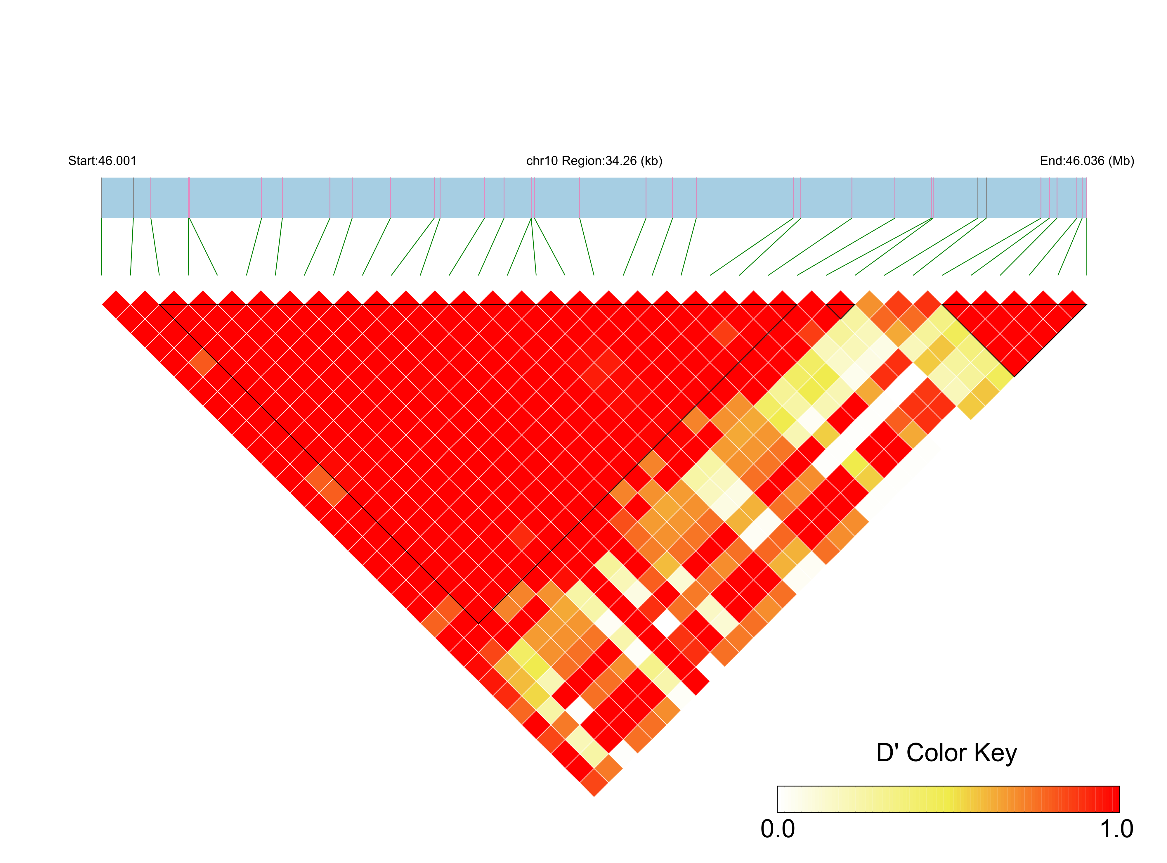 LD