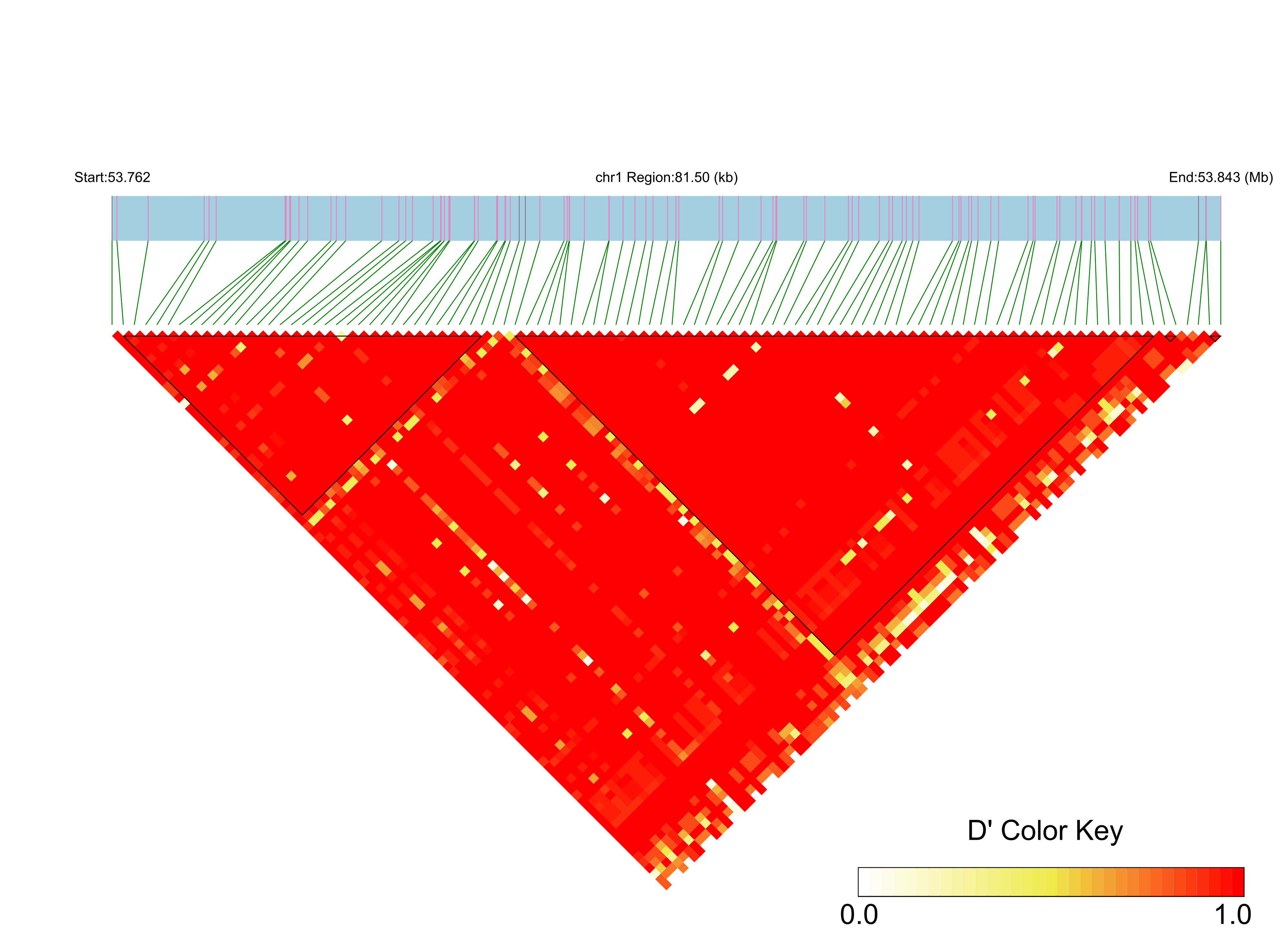 LD