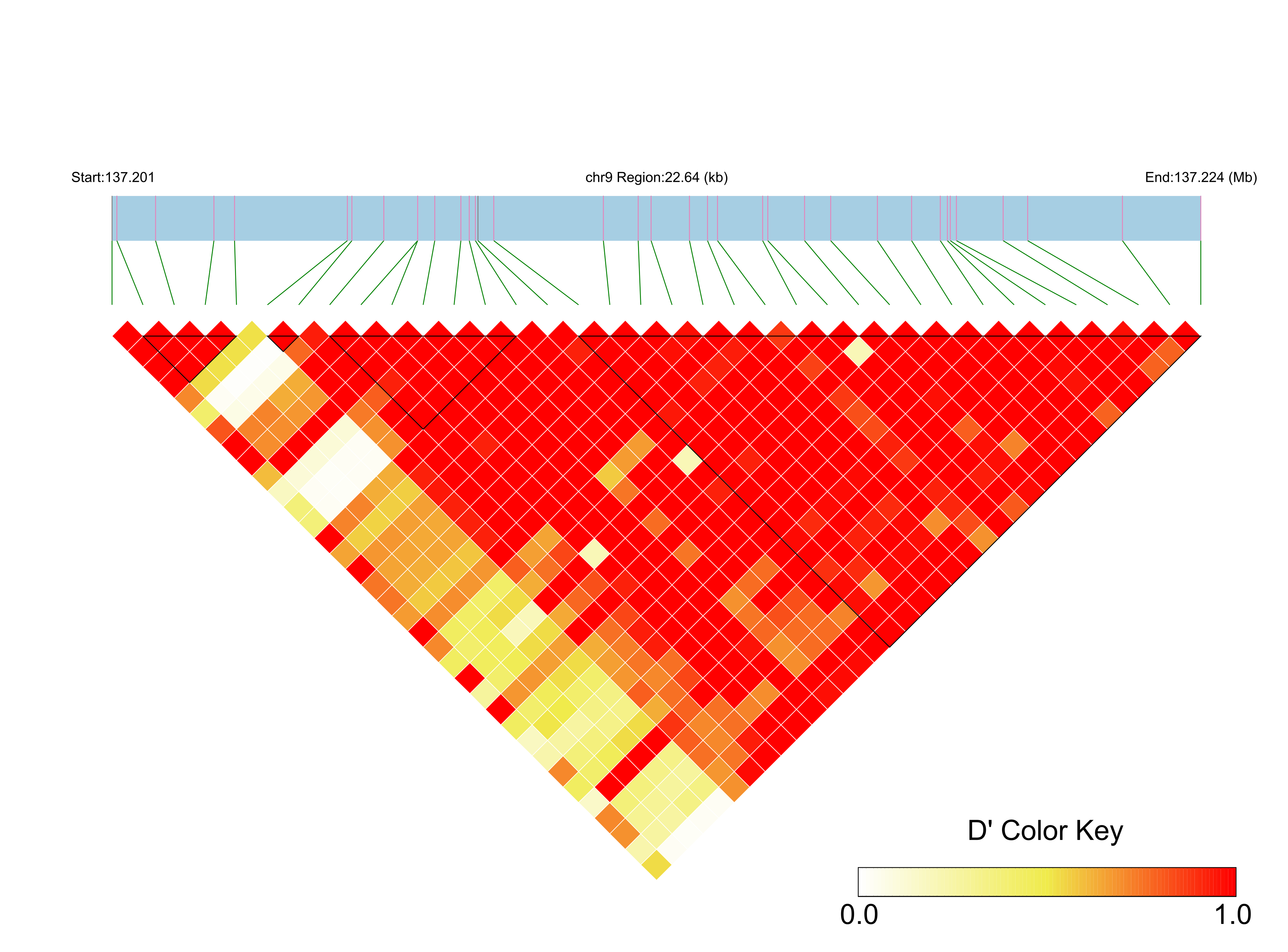 LD