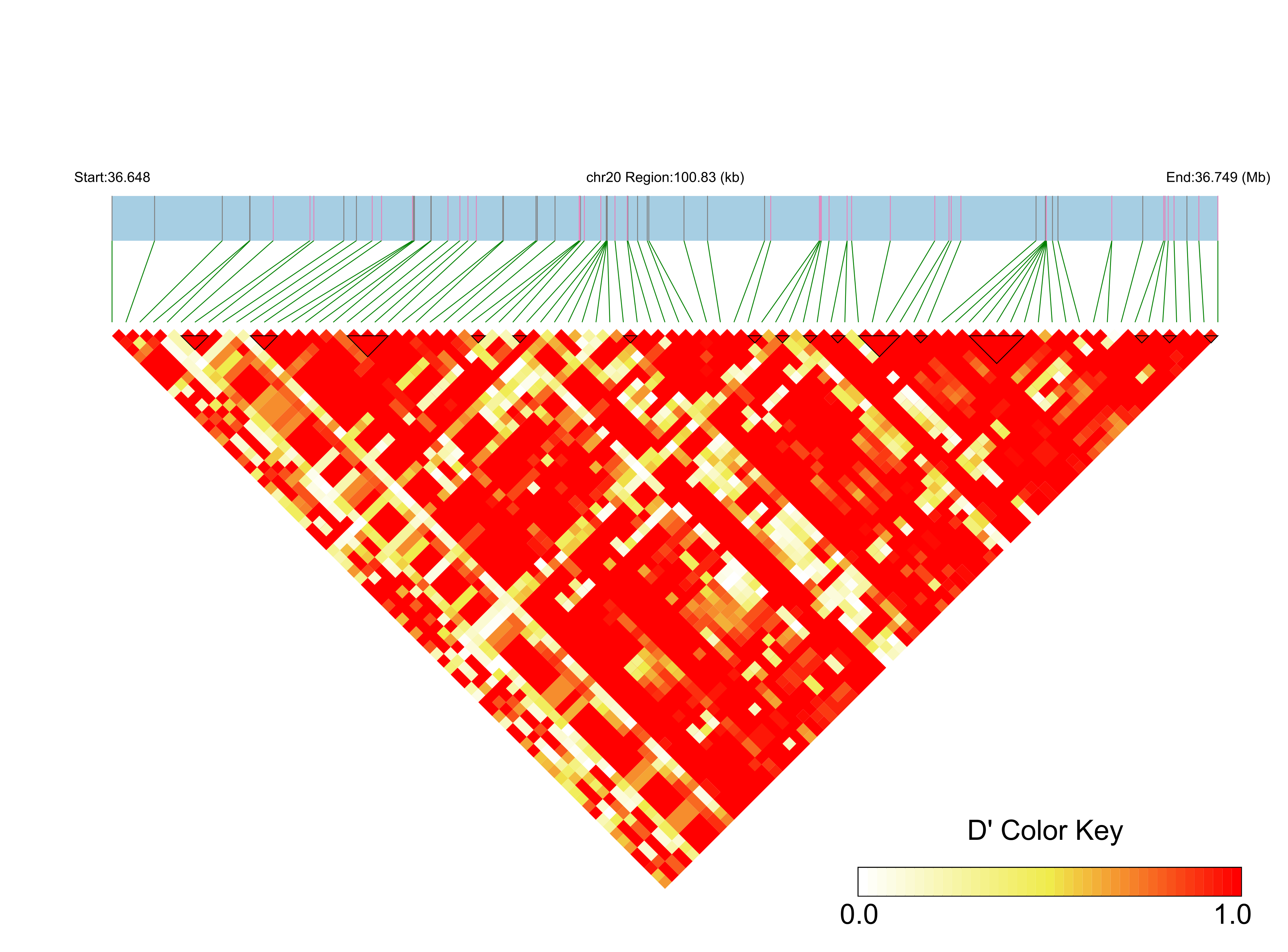 LD