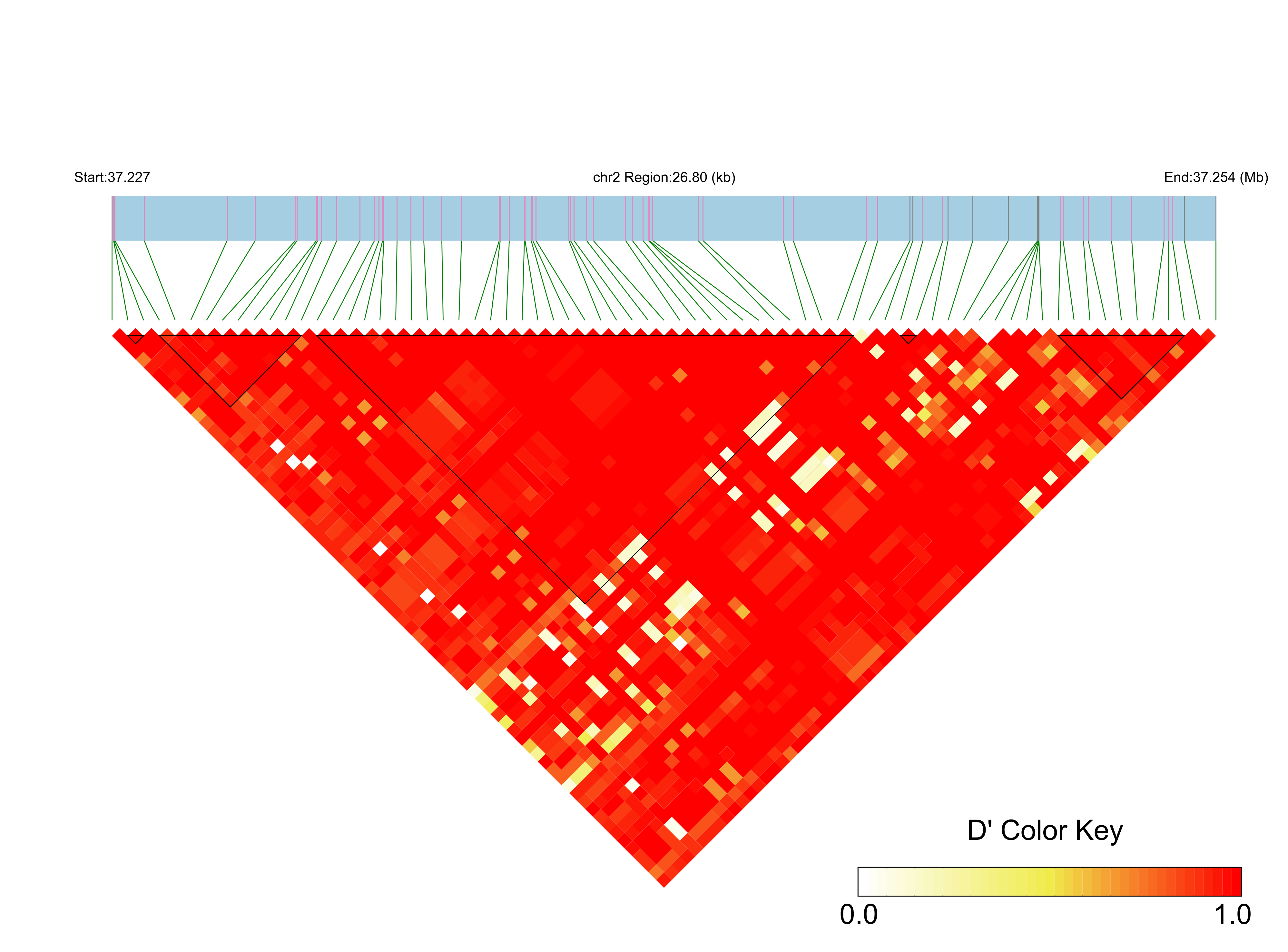 LD