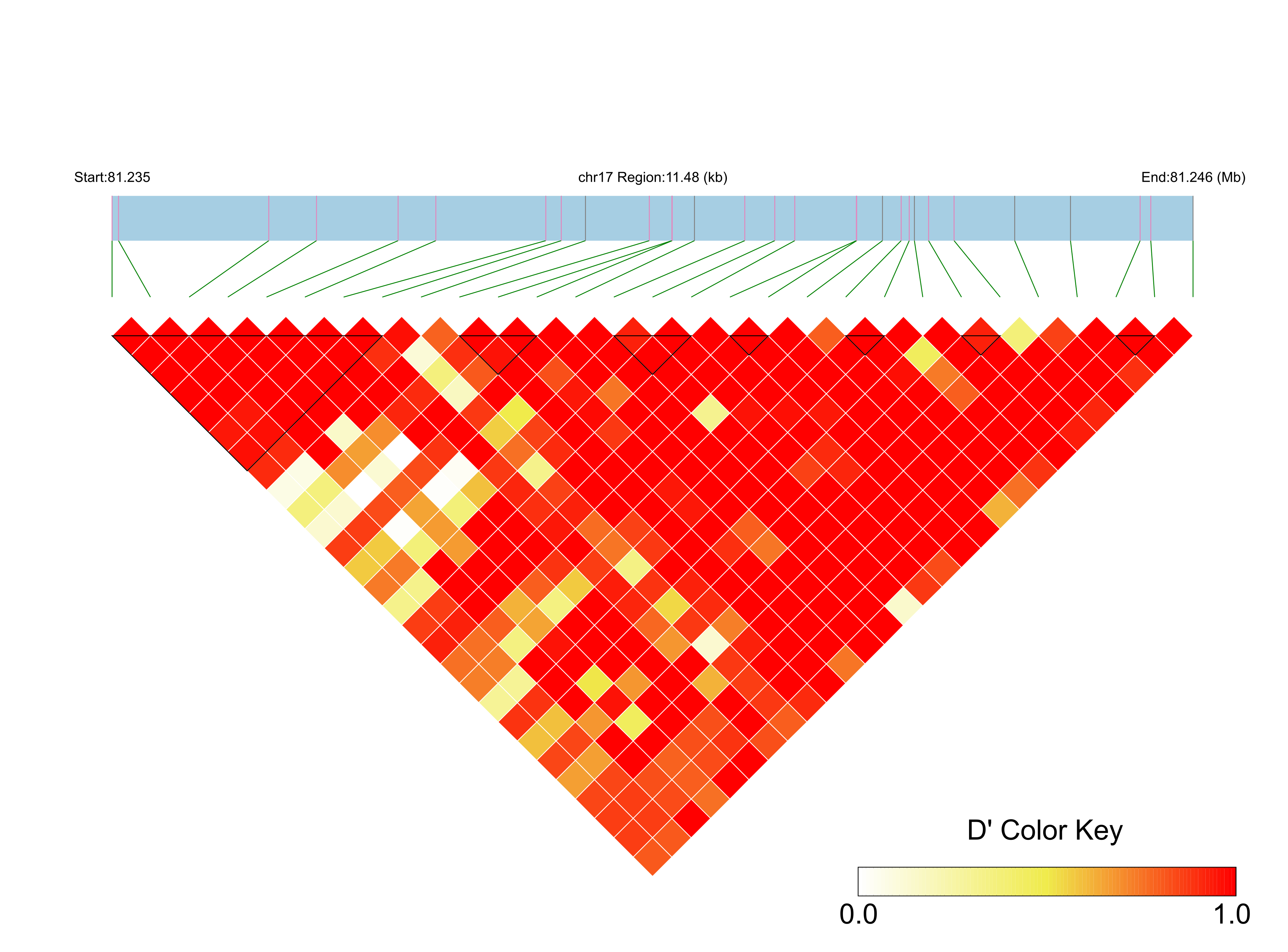 LD