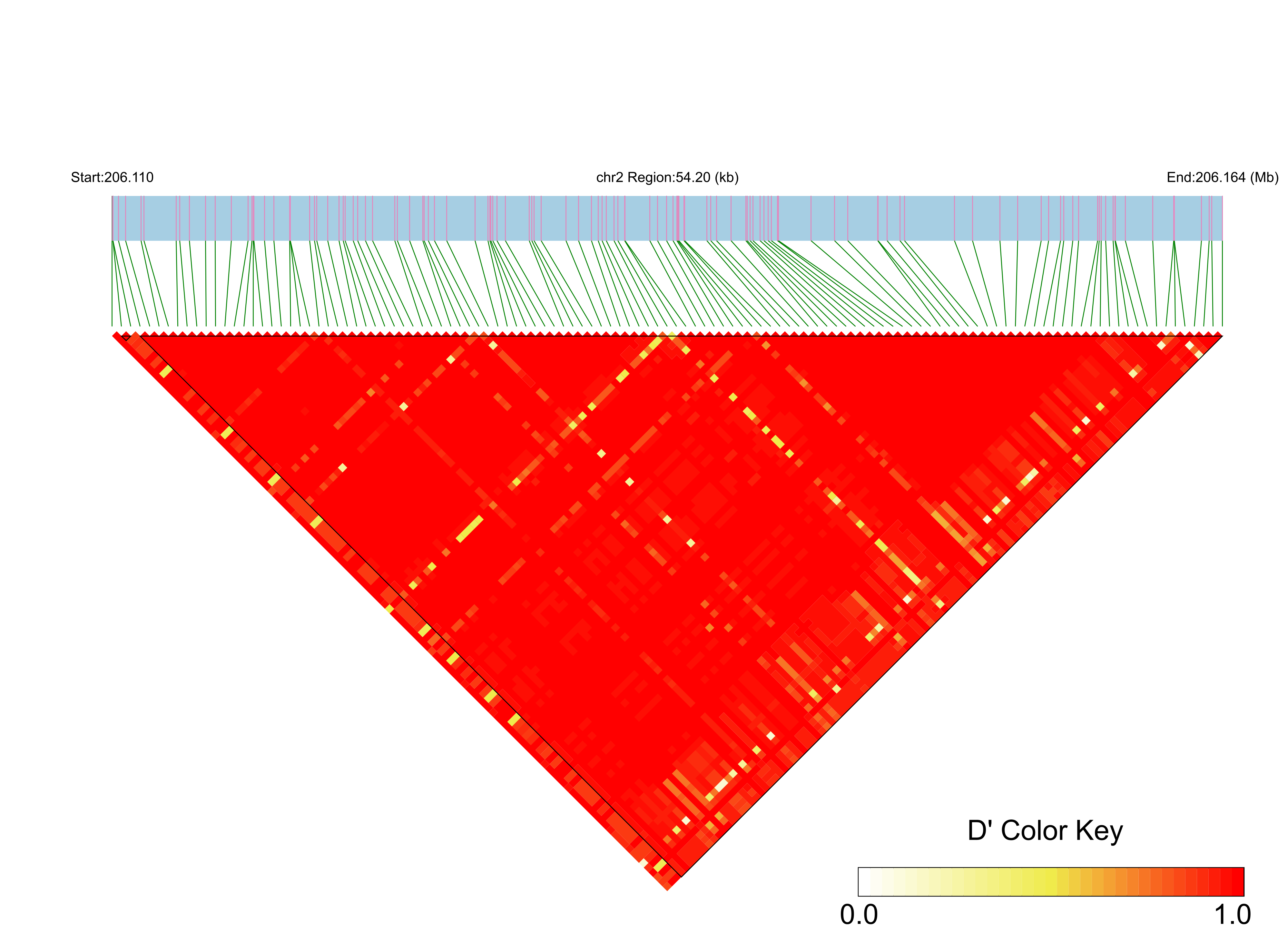 LD