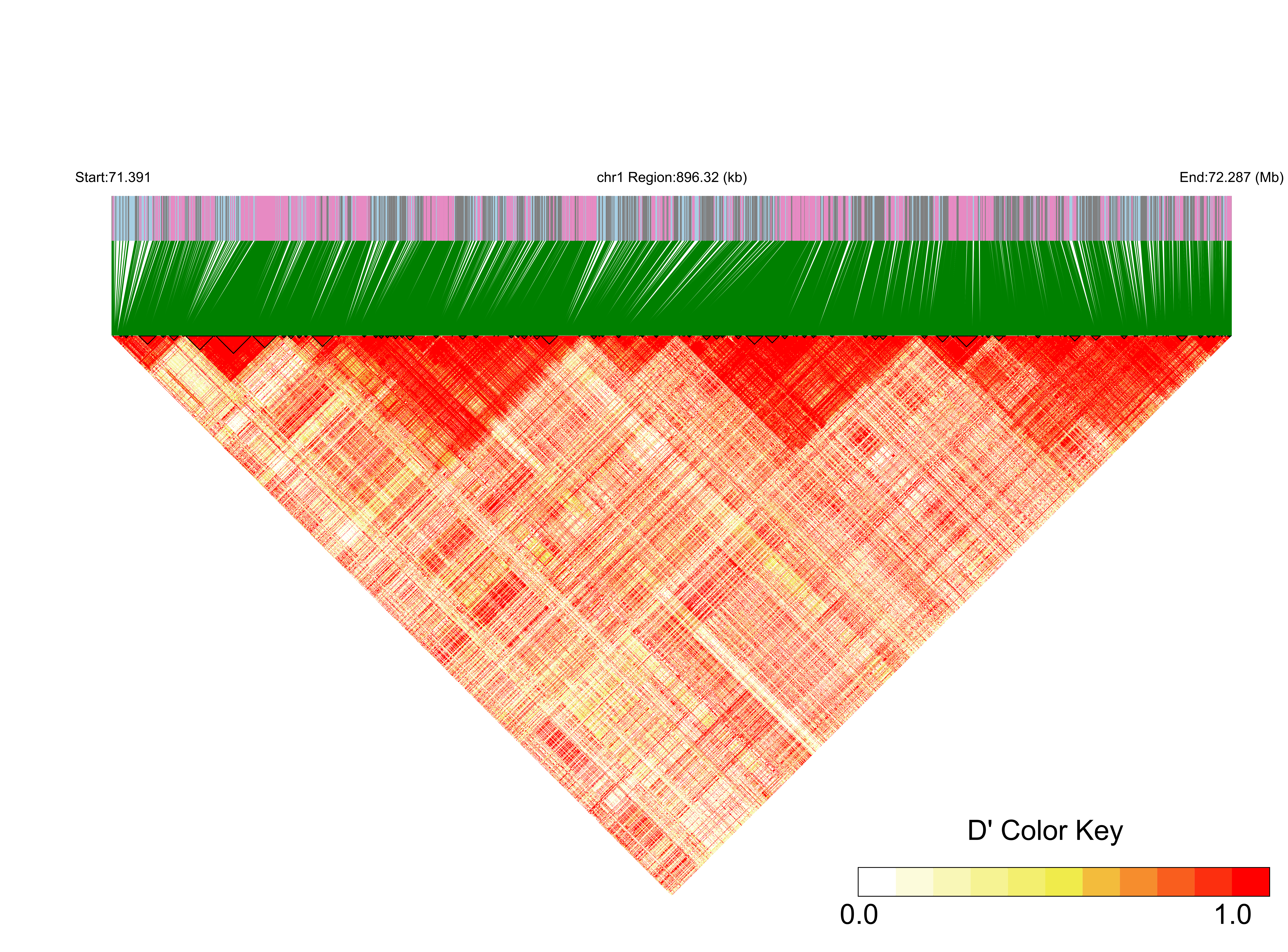 LD