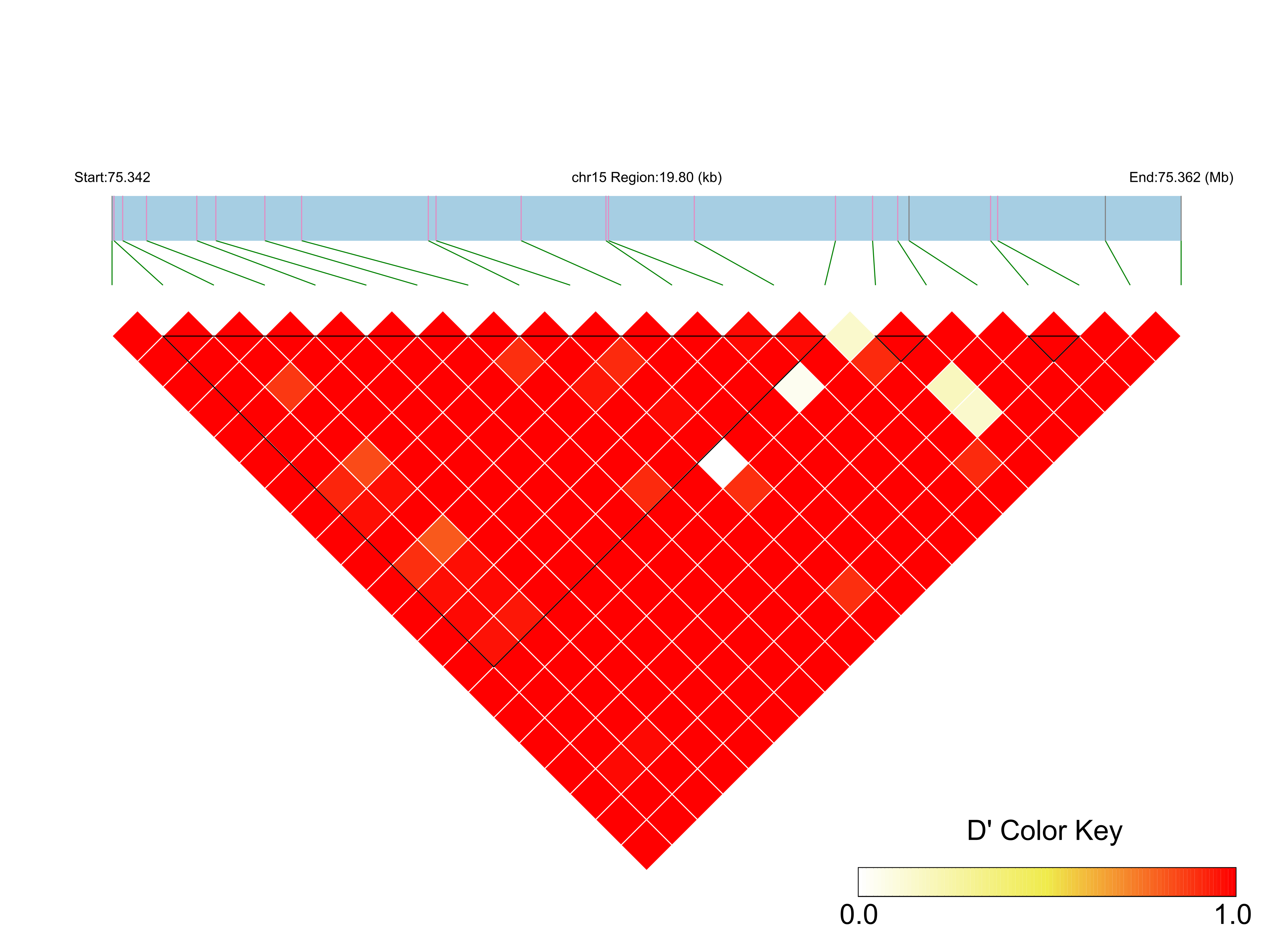 LD