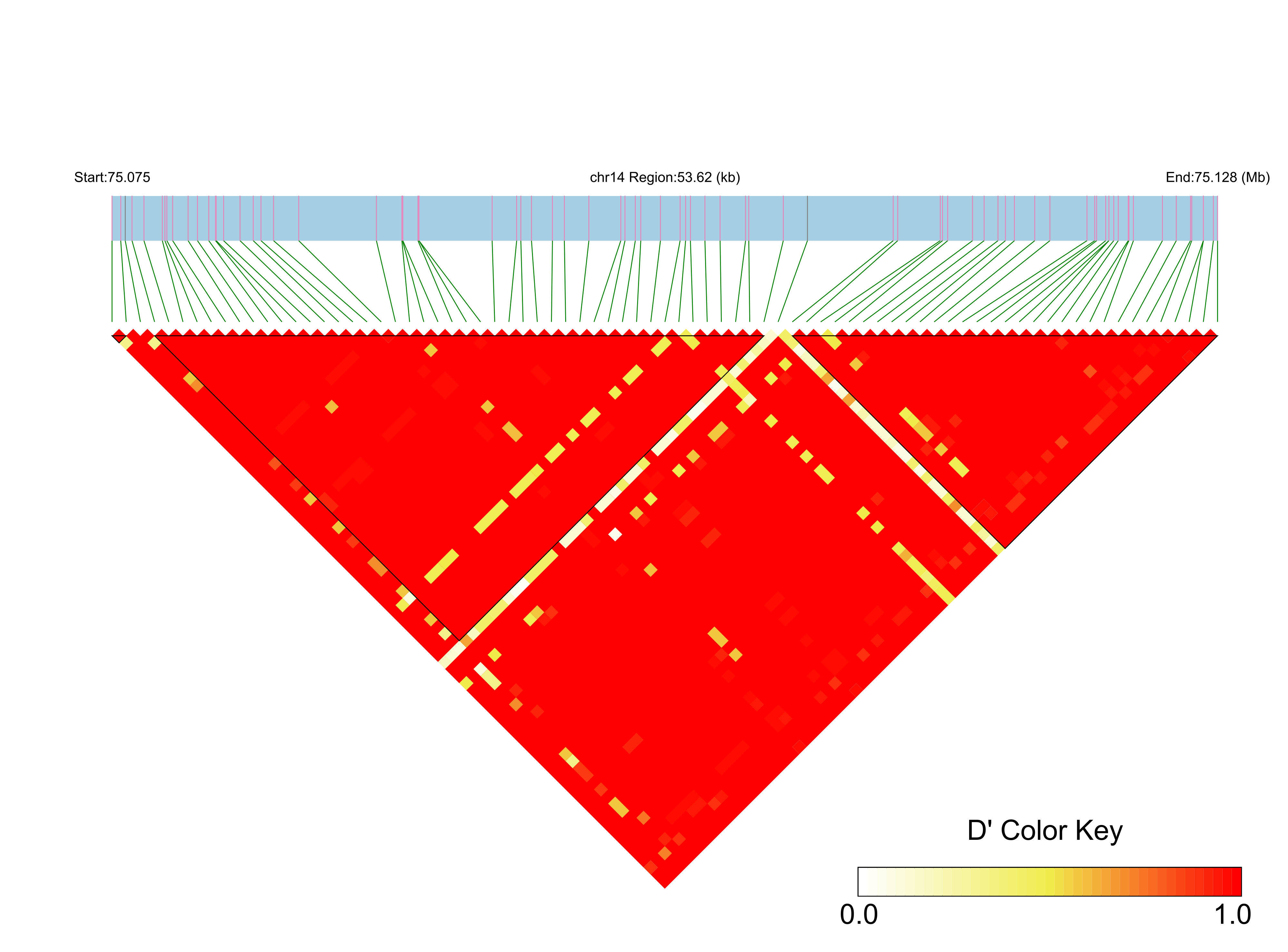 LD