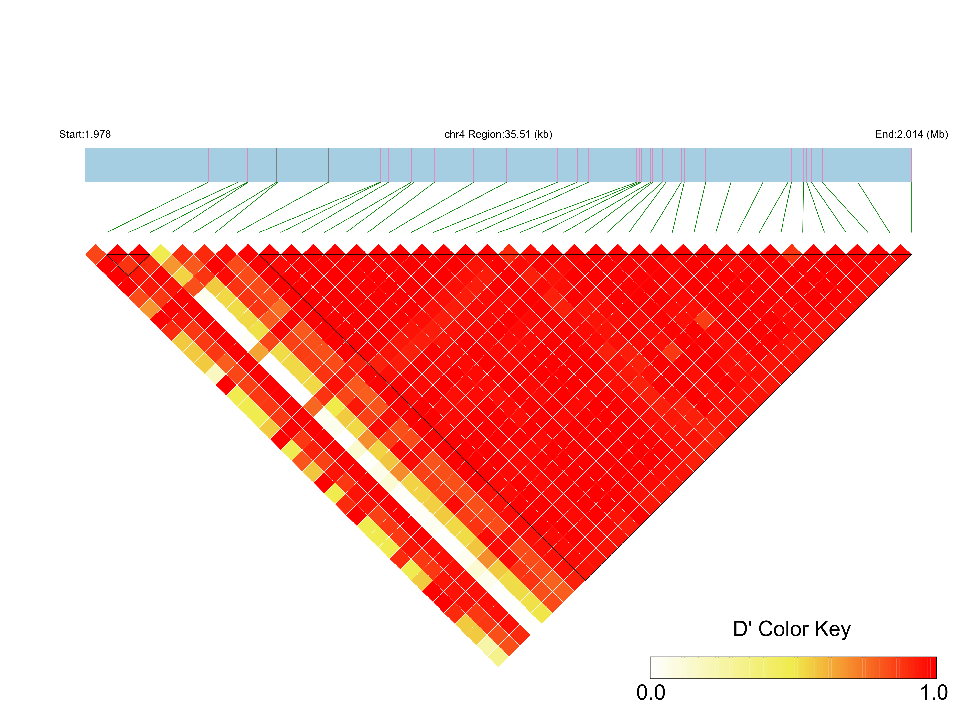 LD