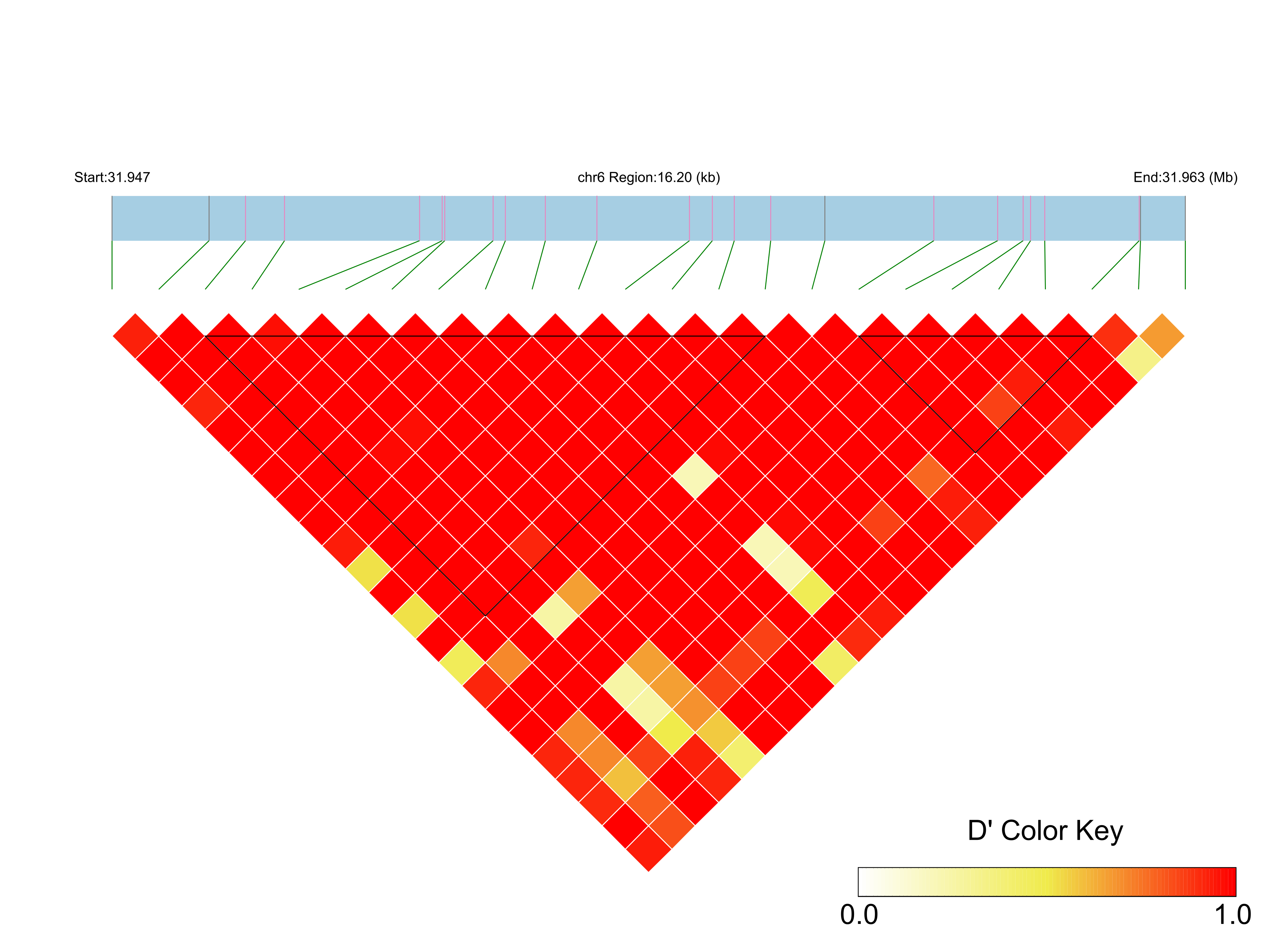 LD