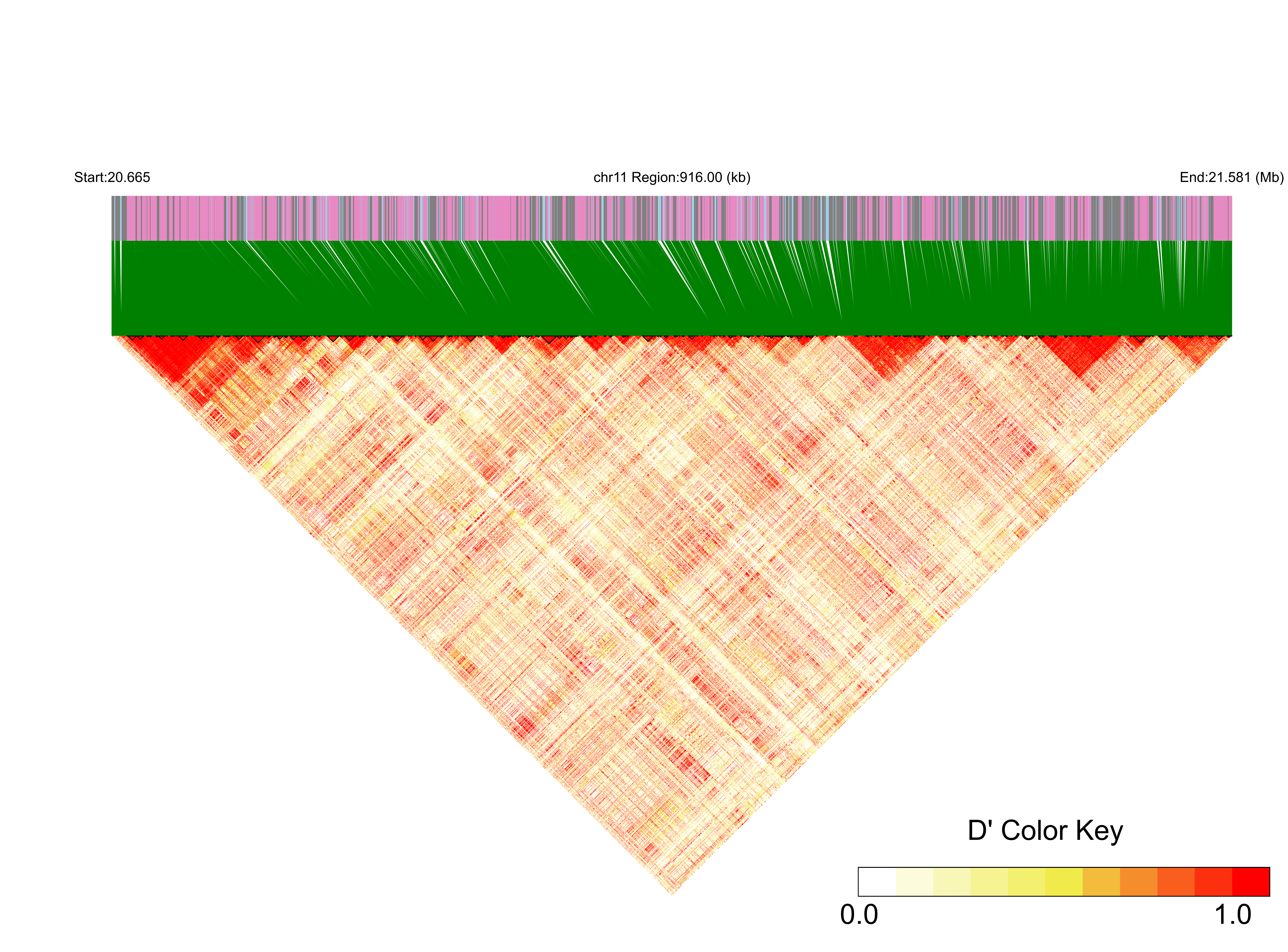 LD