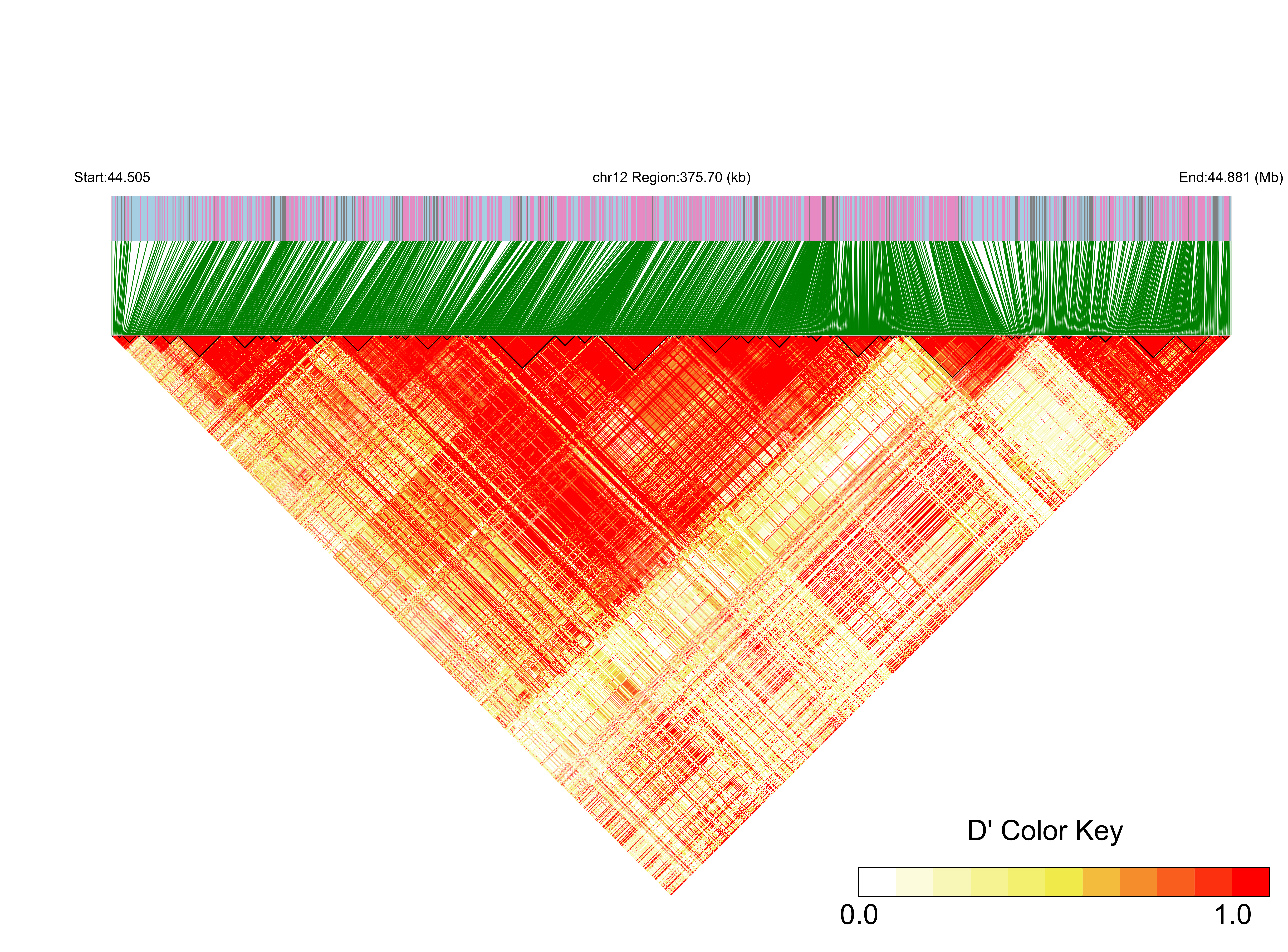 LD