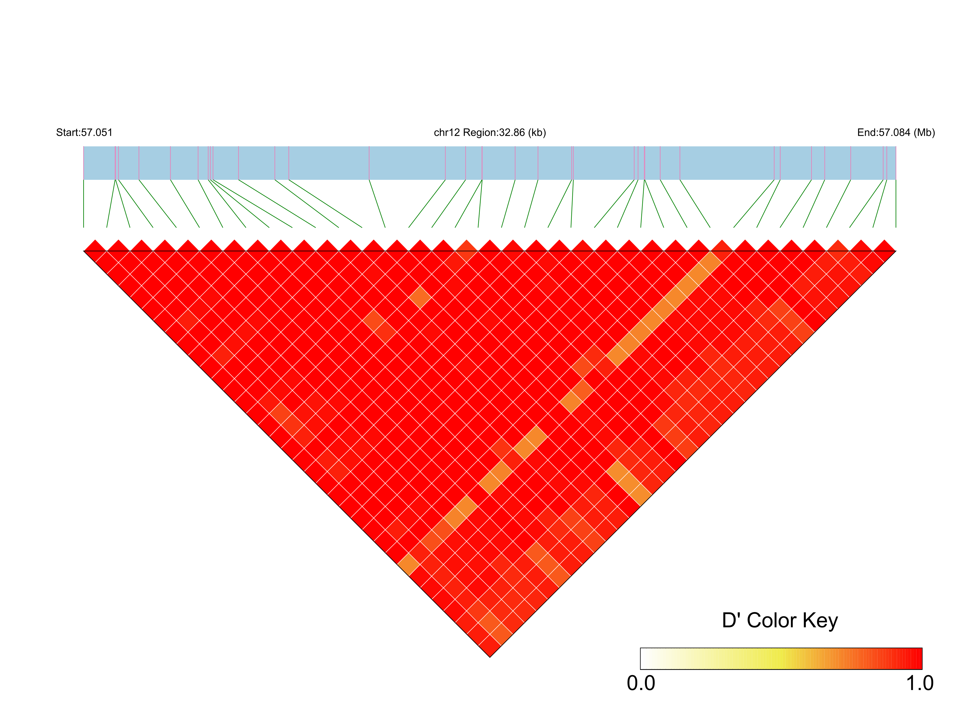 LD