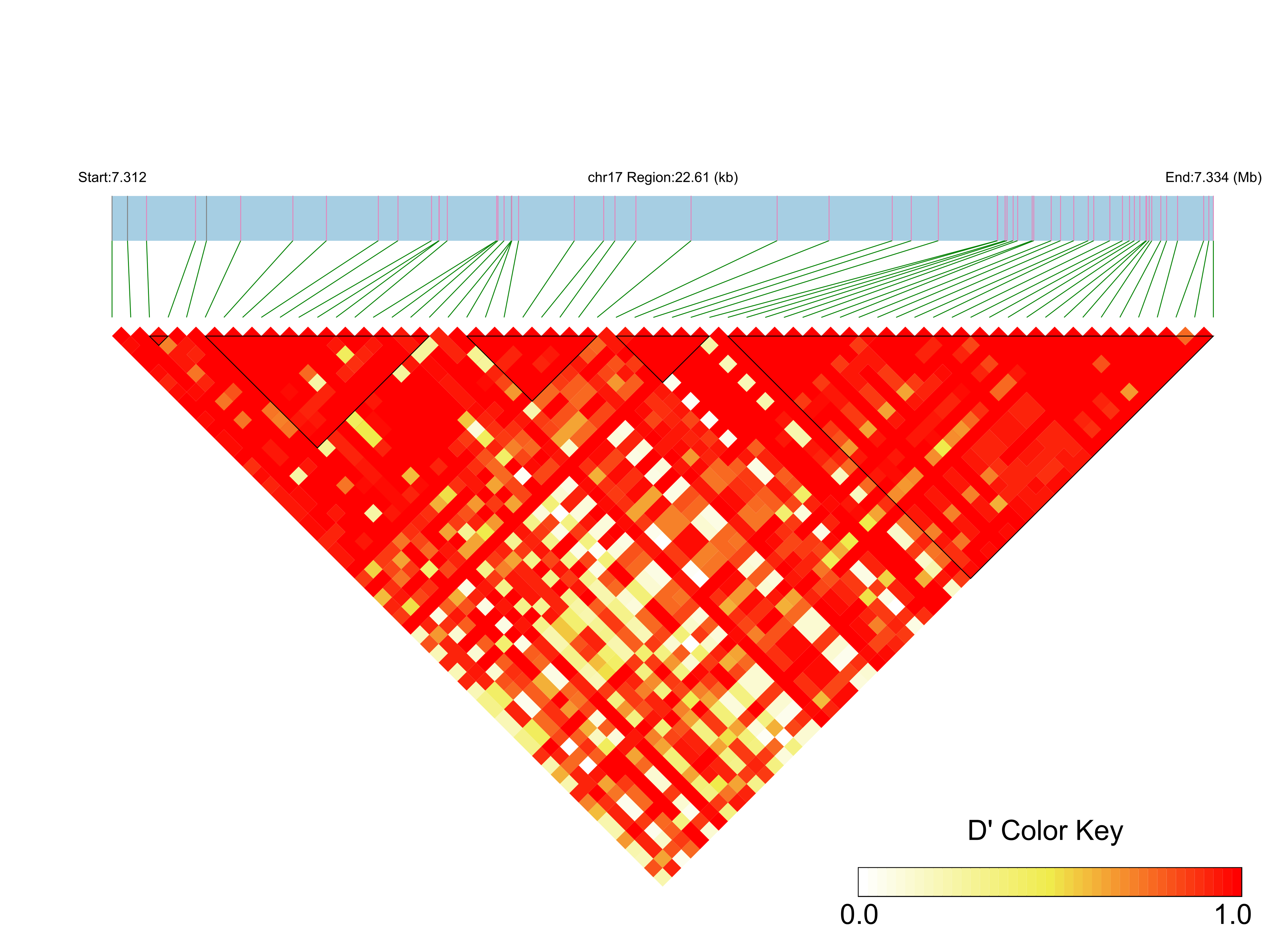 LD