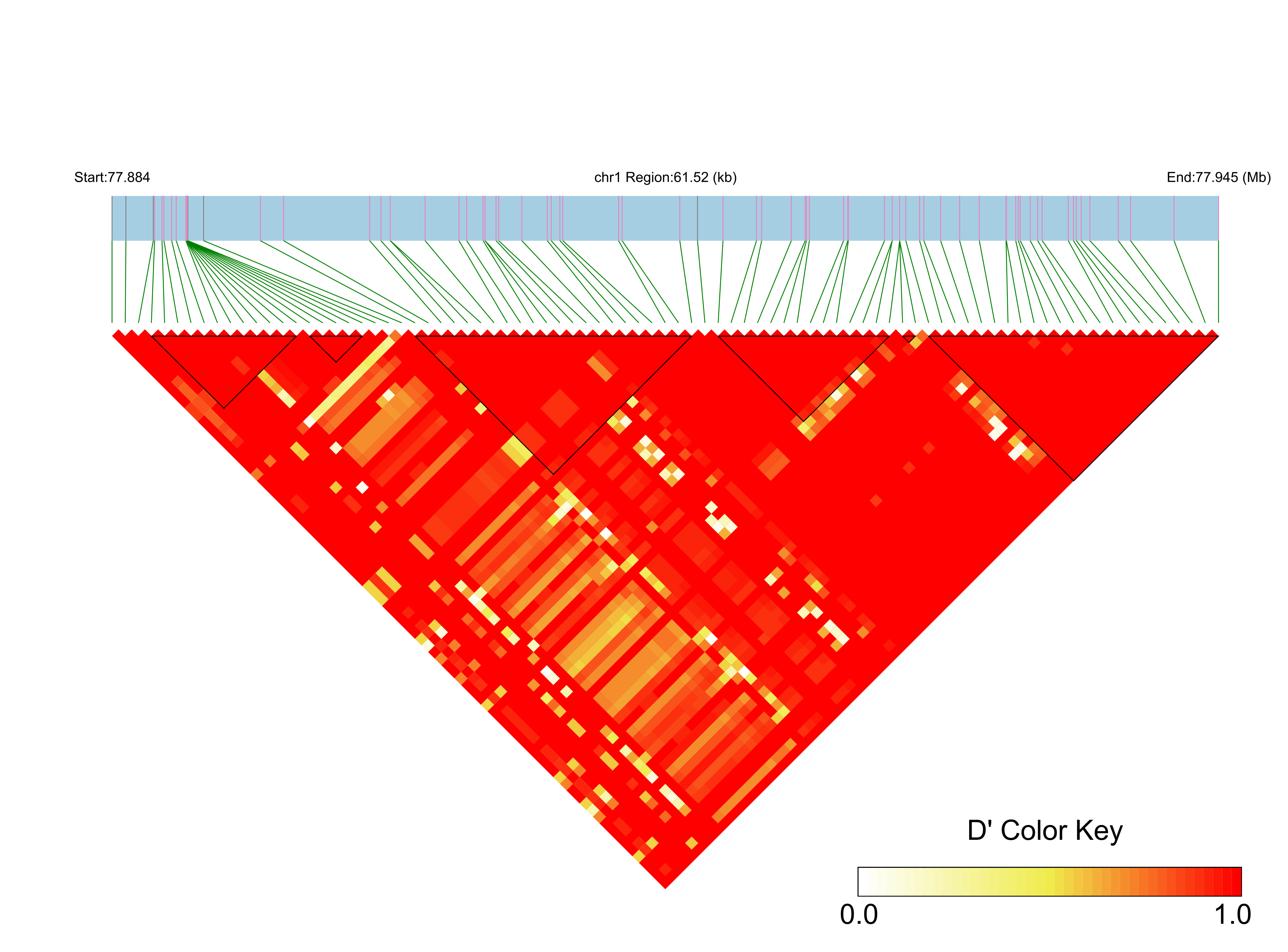 LD