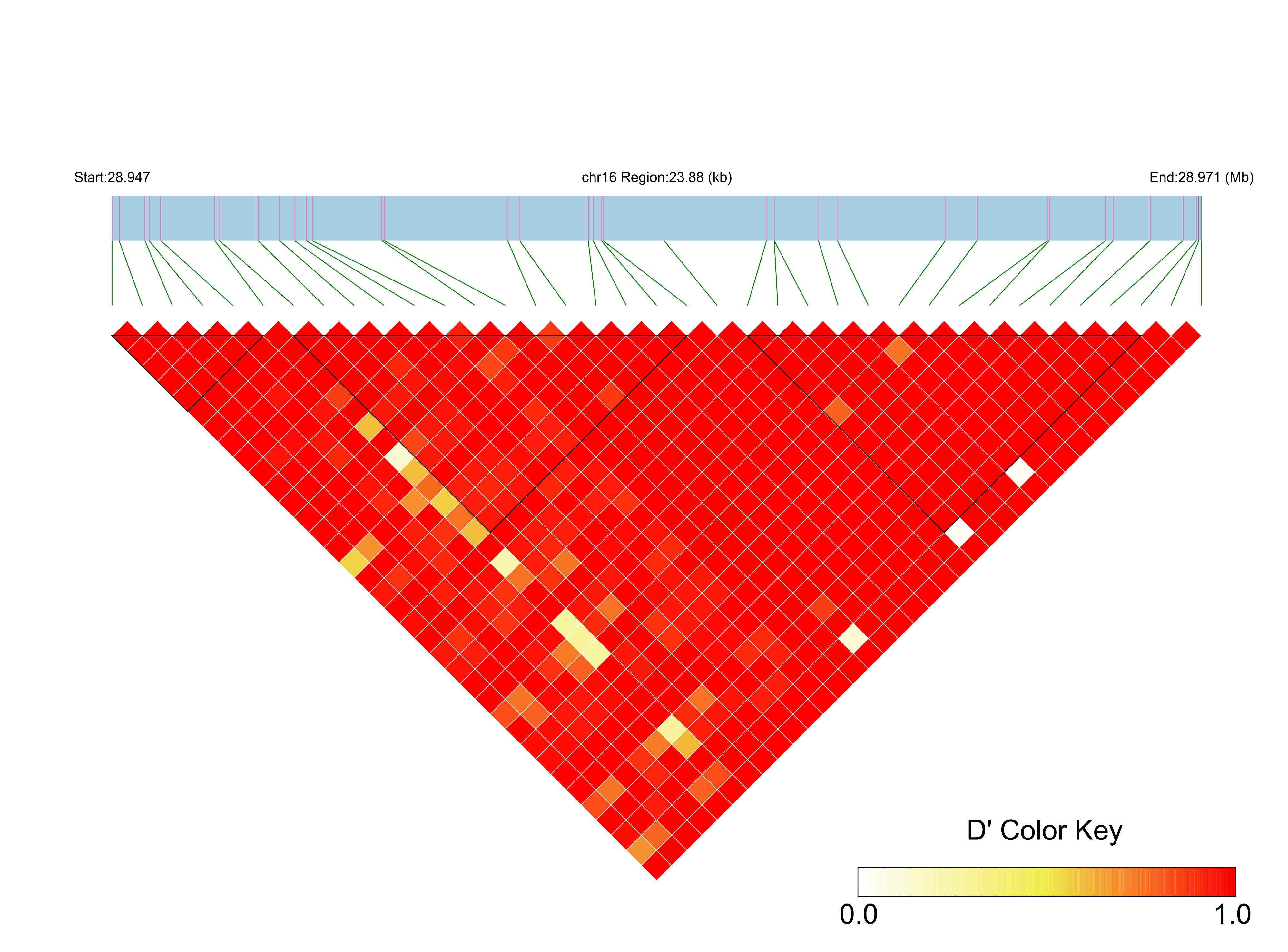 LD