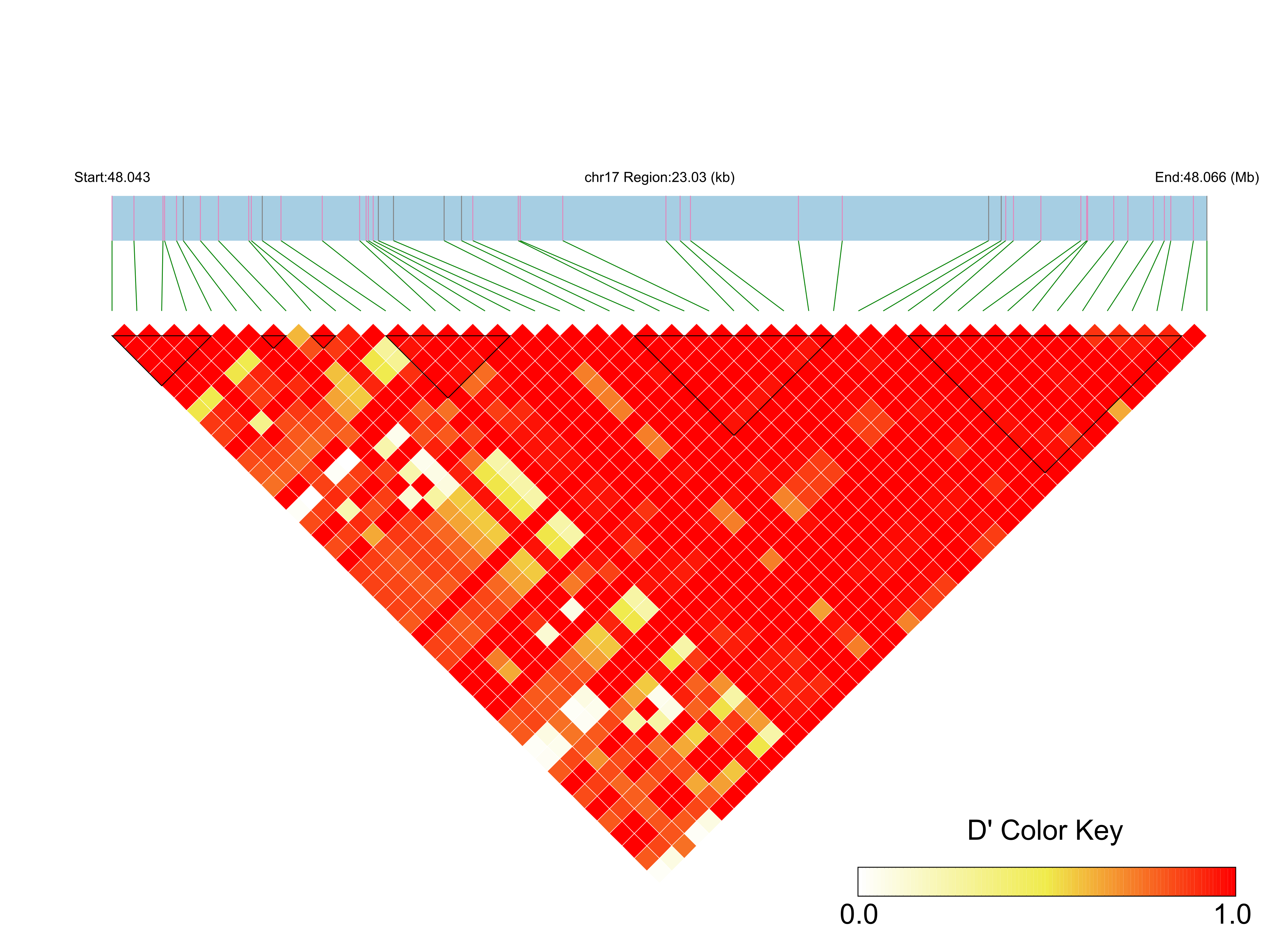 LD