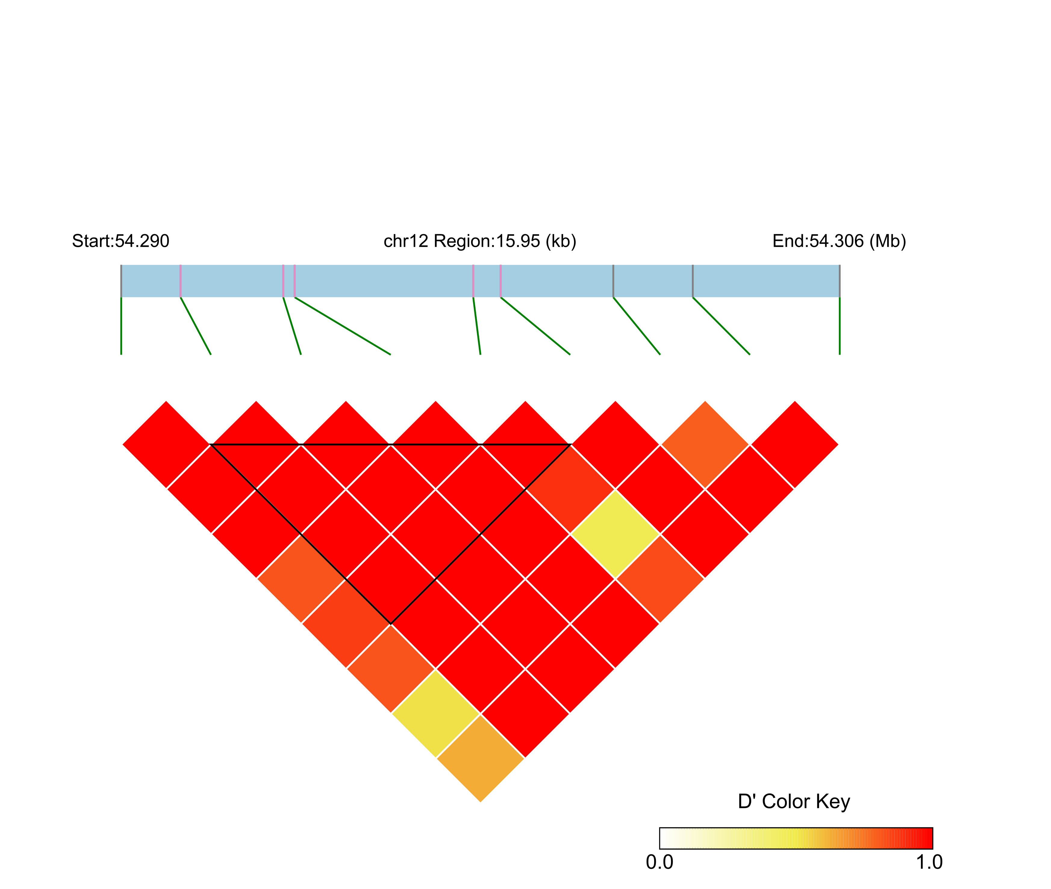 LD
