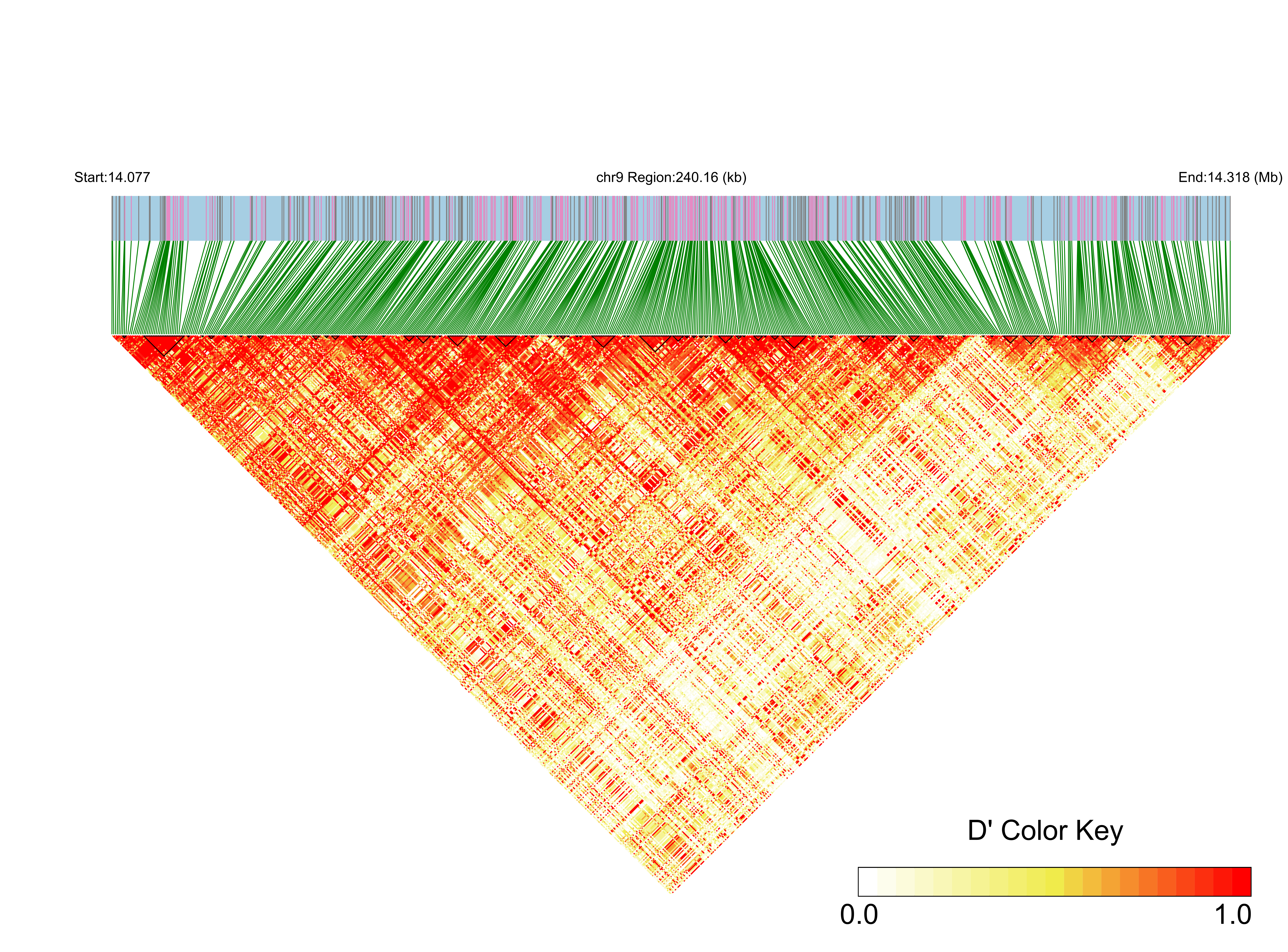 LD