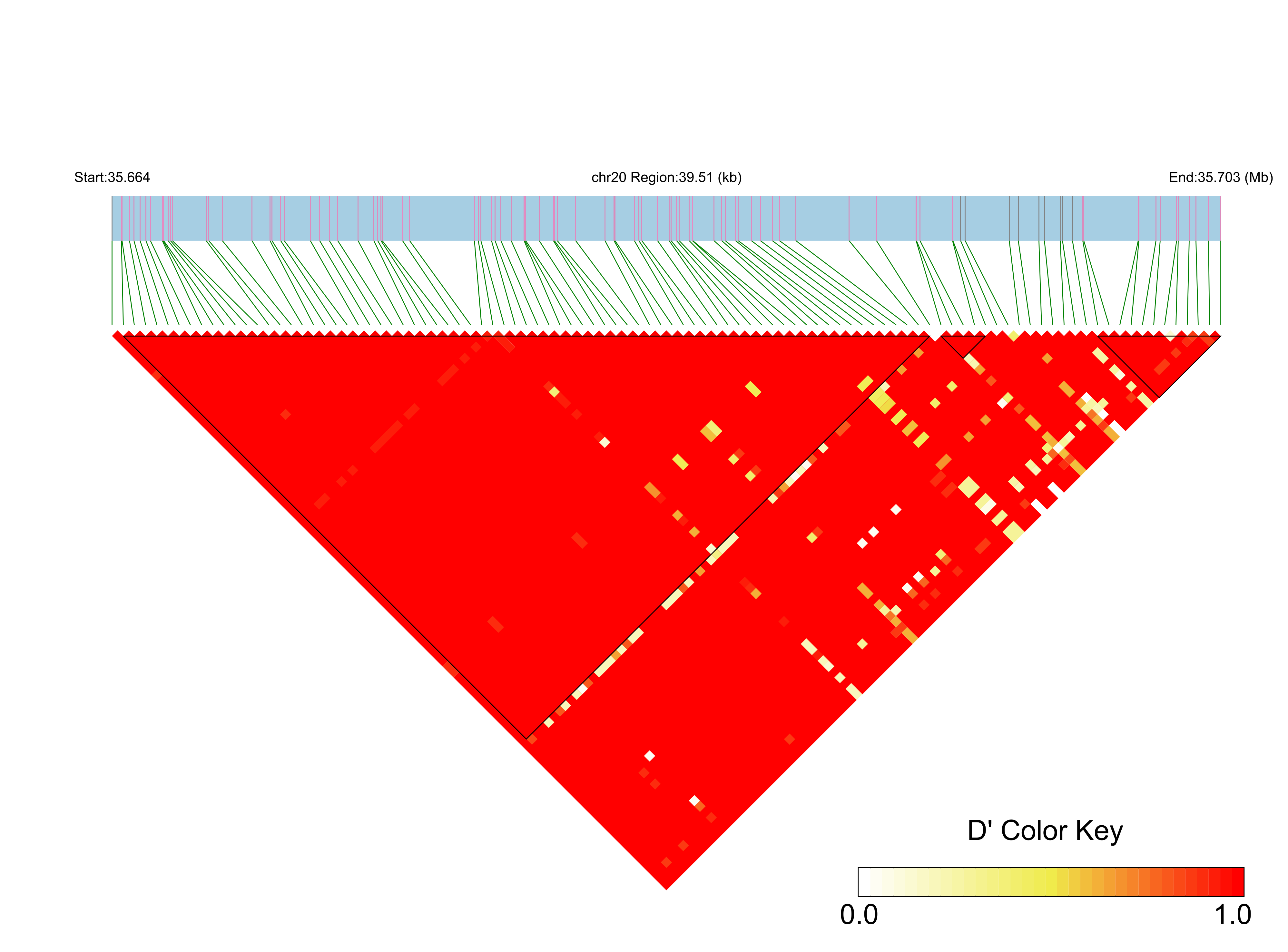 LD
