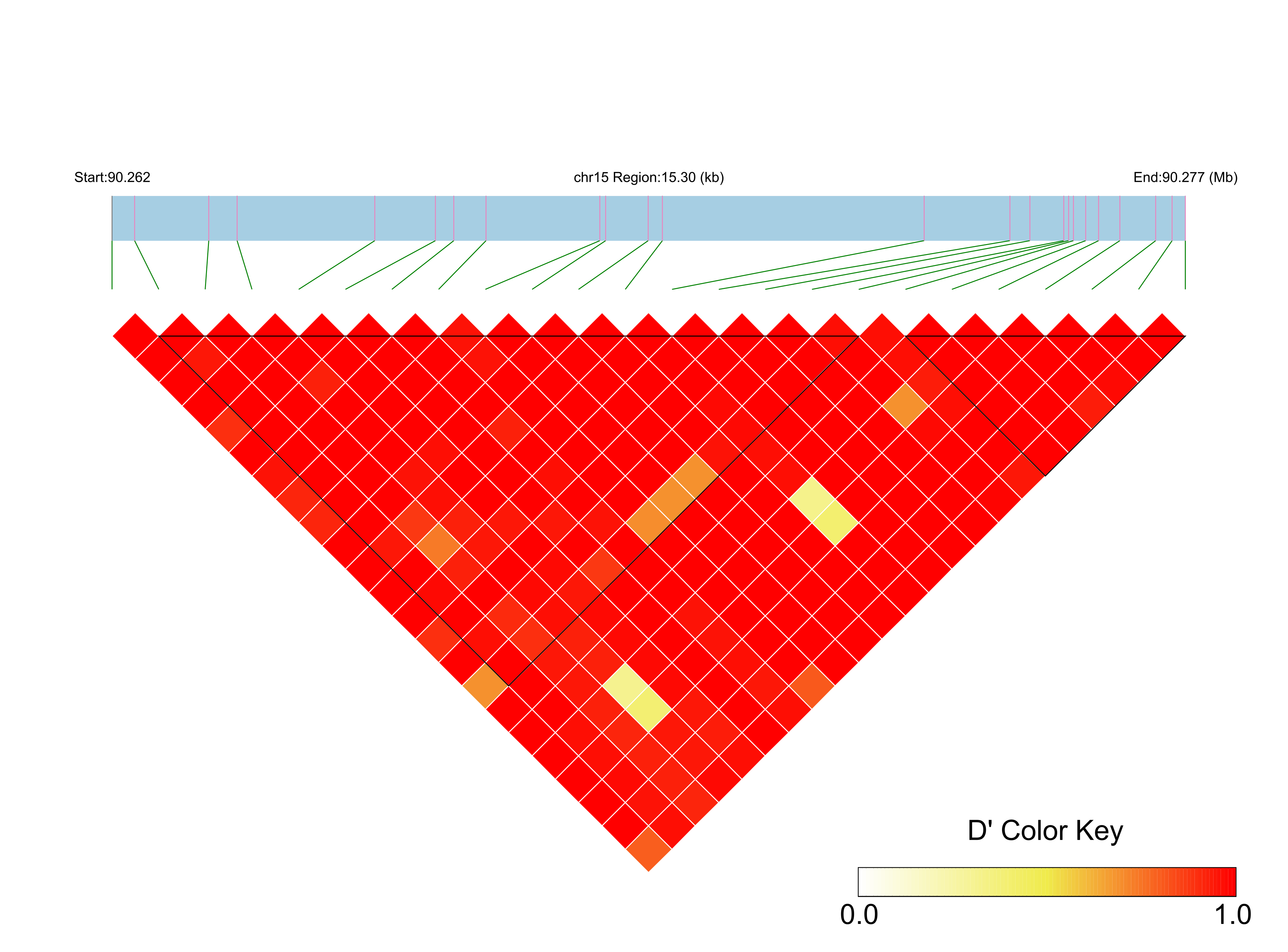 LD