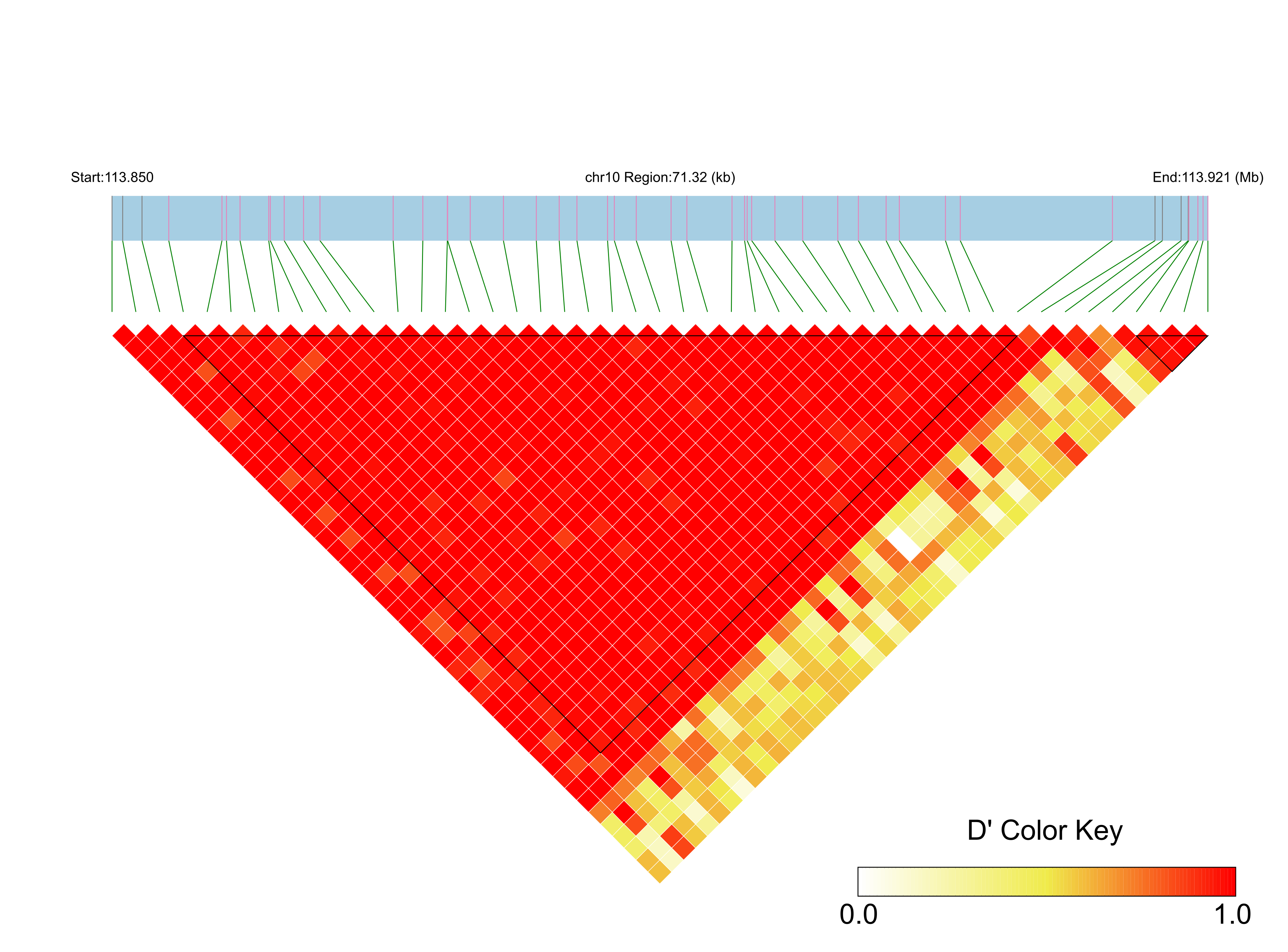 LD